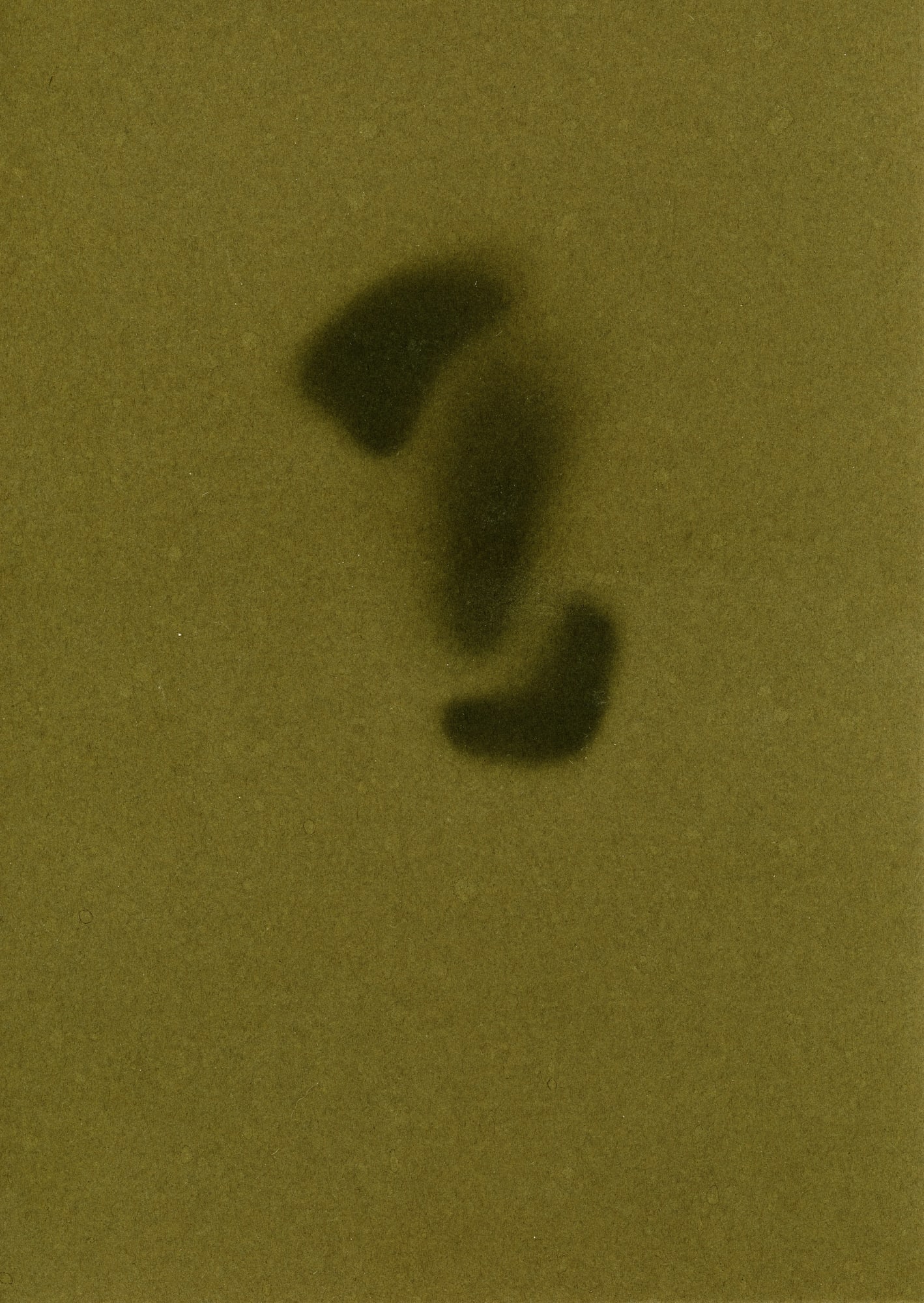 Pareidolie in Green, 2020. Unique Photogram