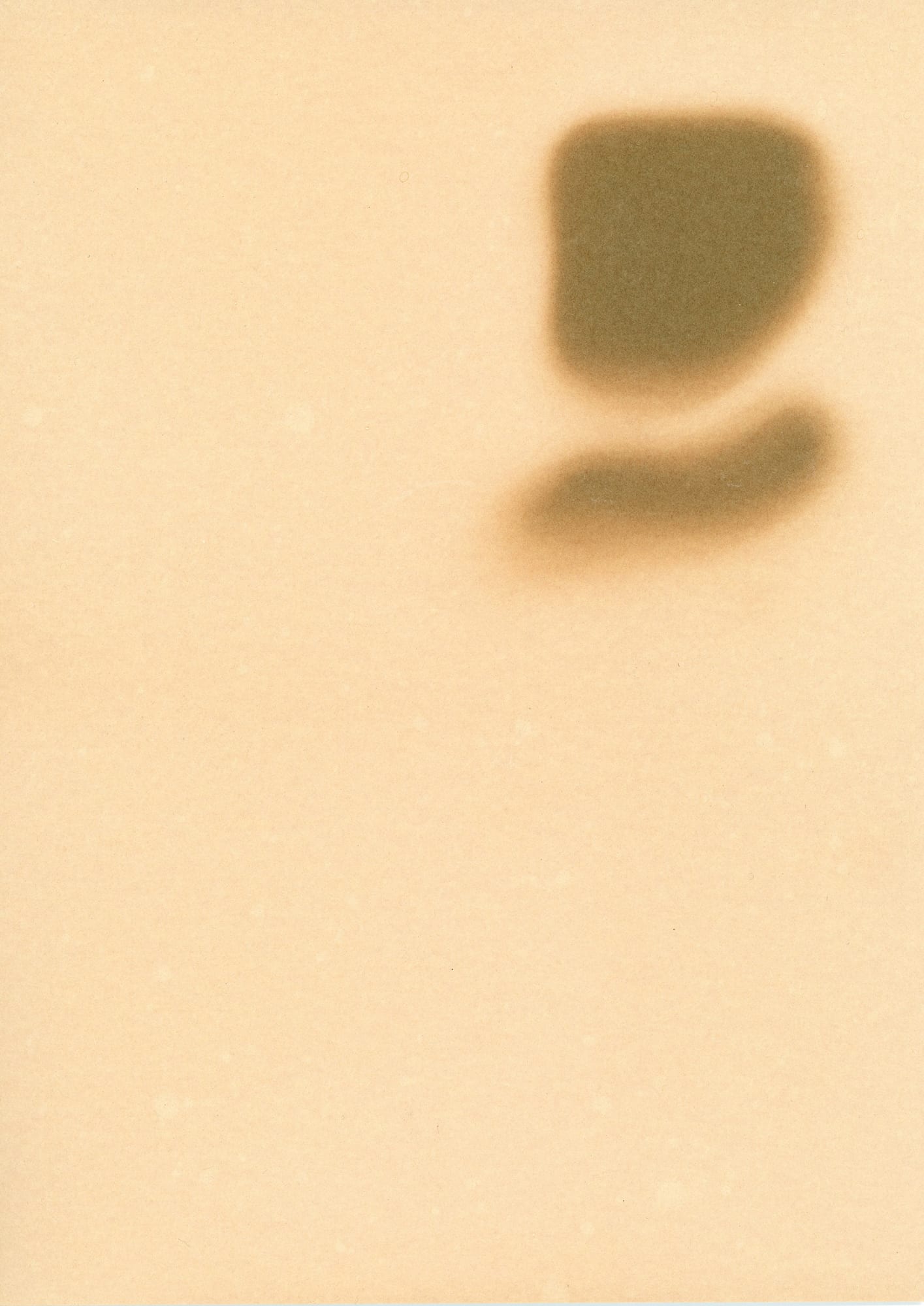 Pareidolie in Beige, 2020. Unique Photogram