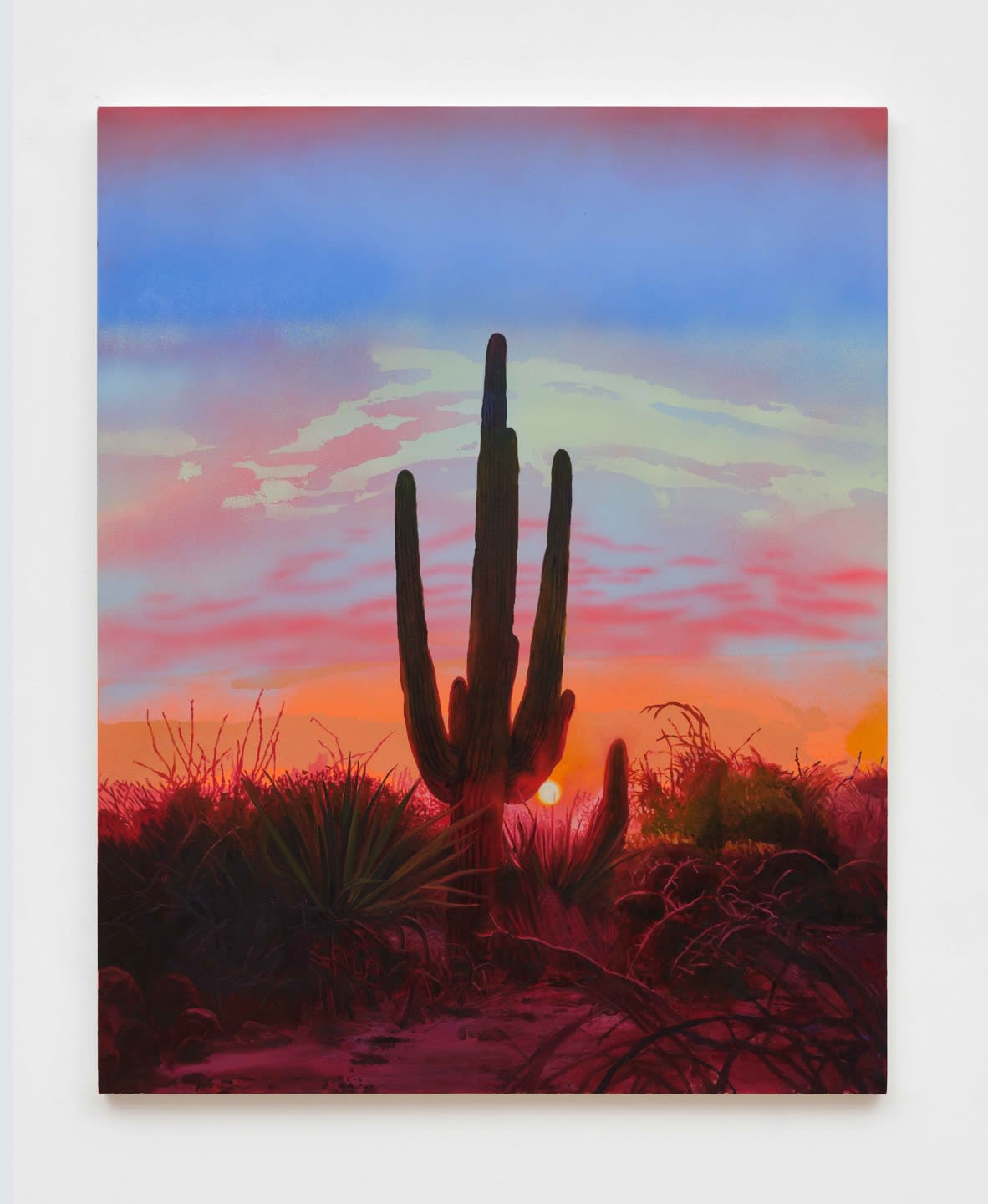 Sol Summers Sentinel, 2025