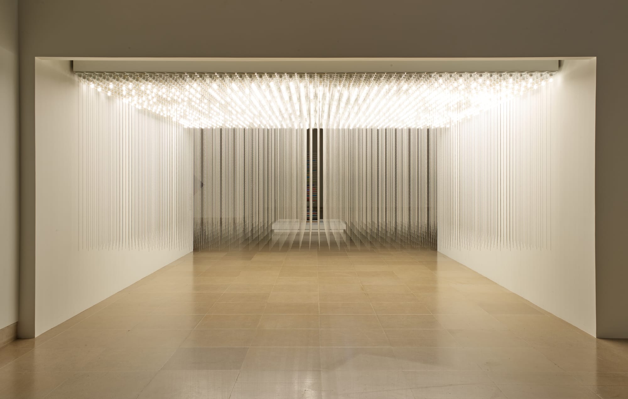 Valeska Soares Vaga Lume, 2006 Light fixtures, light bulbs and metal strings Dimensions variable Collection of the Dallas Museum of Art, gift of Marguerite Steed Hoffman