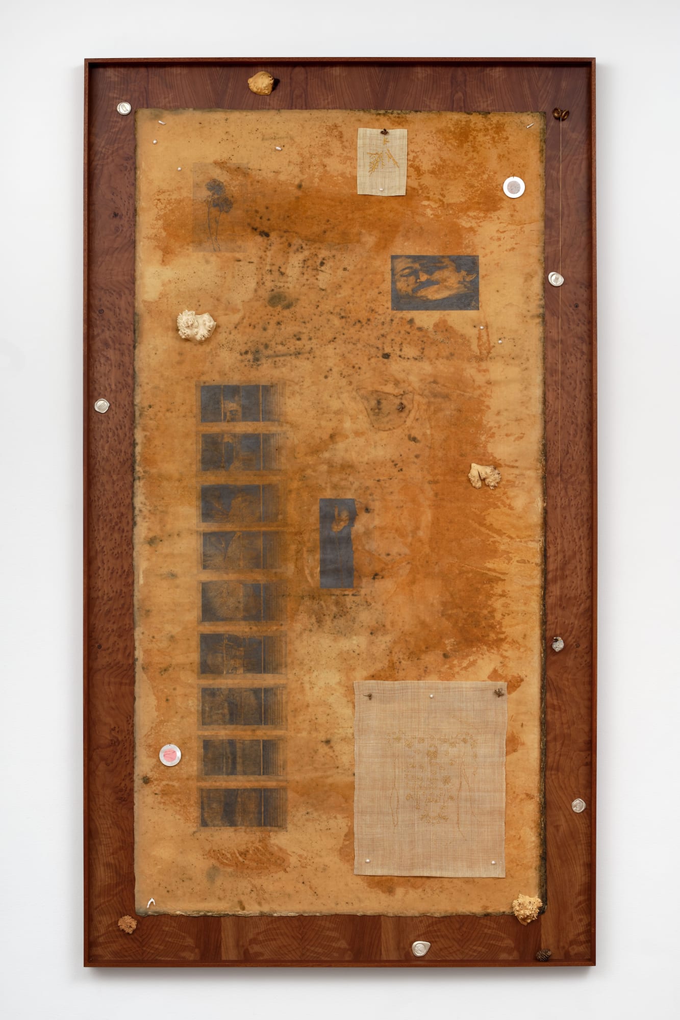 Kang Seung Lee Untitled (Autocopias, 19705, Claudio Perna & Born to Lose, 1970, Joe Brainard), 2025 Graphite, lacquered mulberry paper, antique 24k gold thread, sambe, lilac burl, wild olive burl, poplar burl, maple burl, cast silver, cast bronze acacia thorn, pebble, pearls, acrylic, shell button, silver wire, redwood burl veneer mounted on Dibond, mahogany frame 82 1/4 x 46 1/2 x 2 1/4 in (208.9 x 118.1 x 5.7 cm) Collection of the Amorepacific Museum of Art, Seoul, Korea