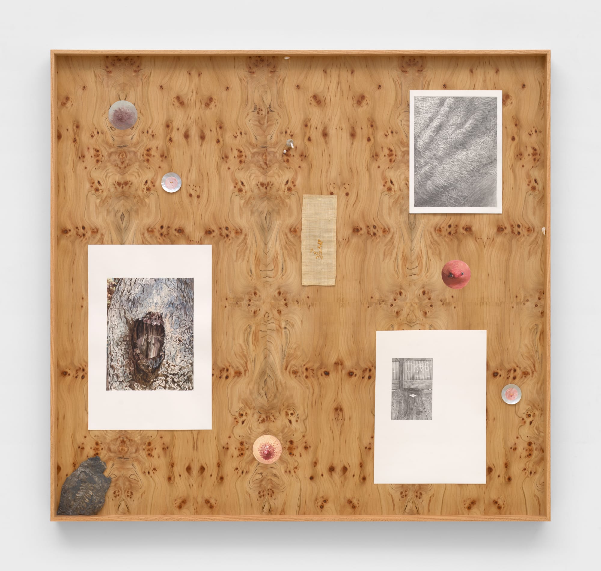 Kang Seung Lee Untitled (Skin, Constellation 1), 2024 Graphite, watercolor, acrylic, paper, mother of pearl buttons, antique 24K gold thread, Sambe, fern fossil from Carboniferous period, pebble, pearls, silver wire, and Carpathian elm burl veneer mounted on Dibond, red oak frame 45 1/4 x 48 x 2 1/4 in (114.9 x 121.9 x 5.7 cm)