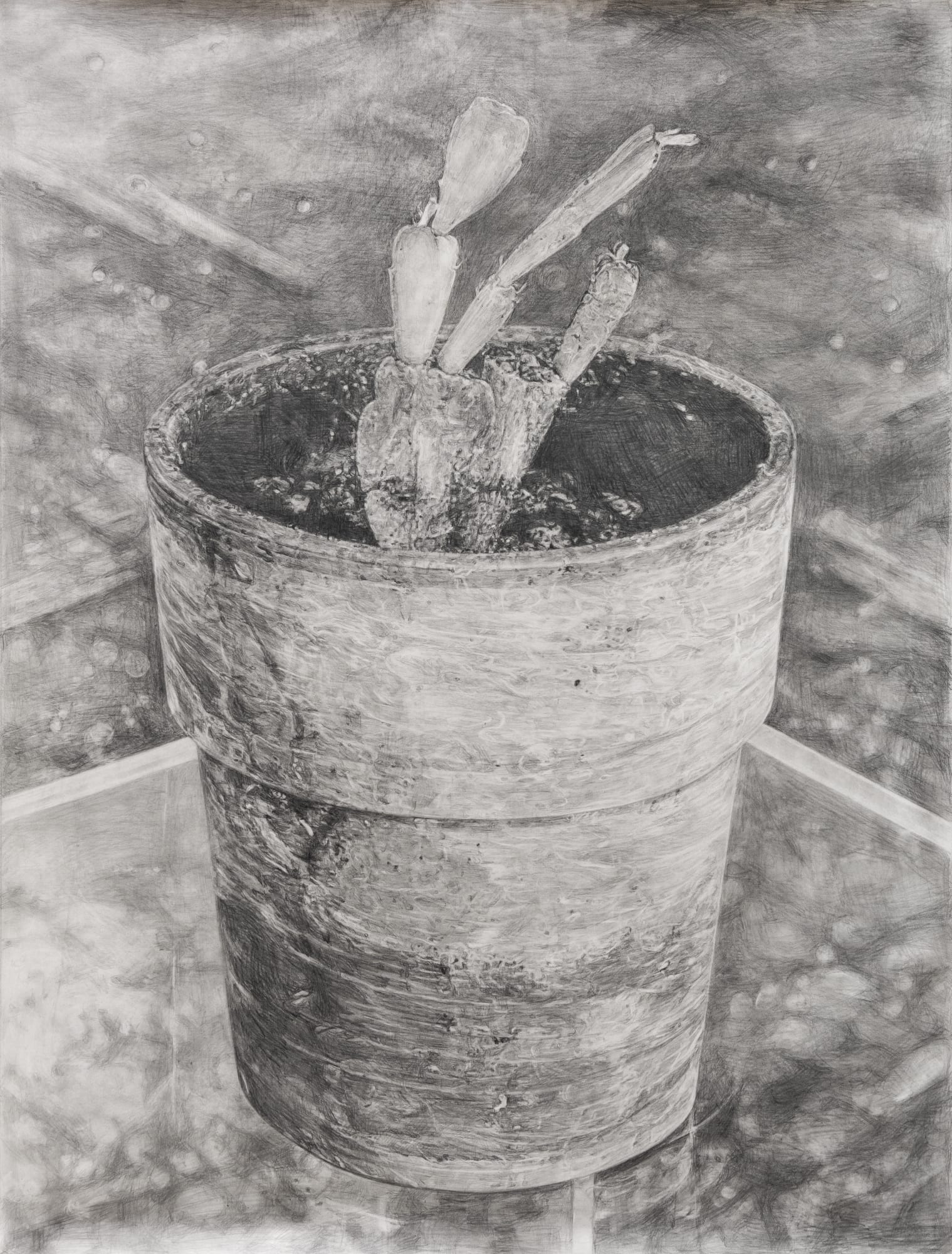 Kang Seung Lee Untitled (Harvey) , 2020 Graphite on paper 59 x 44 7/8 in (150 x 114 cm) Collection of the Cantor Arts Center, Stanford University