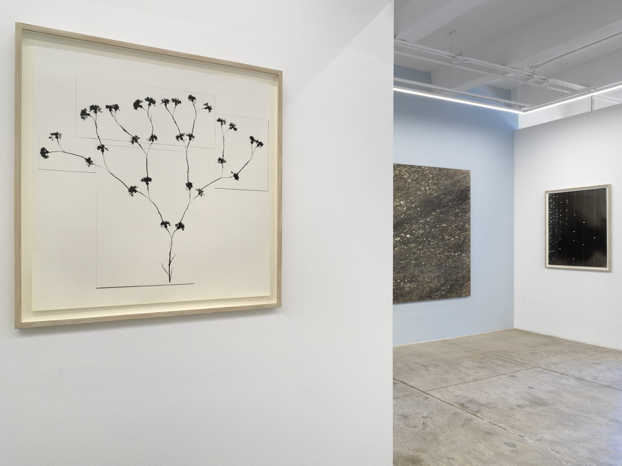 Kunié Sugiura: Something Else