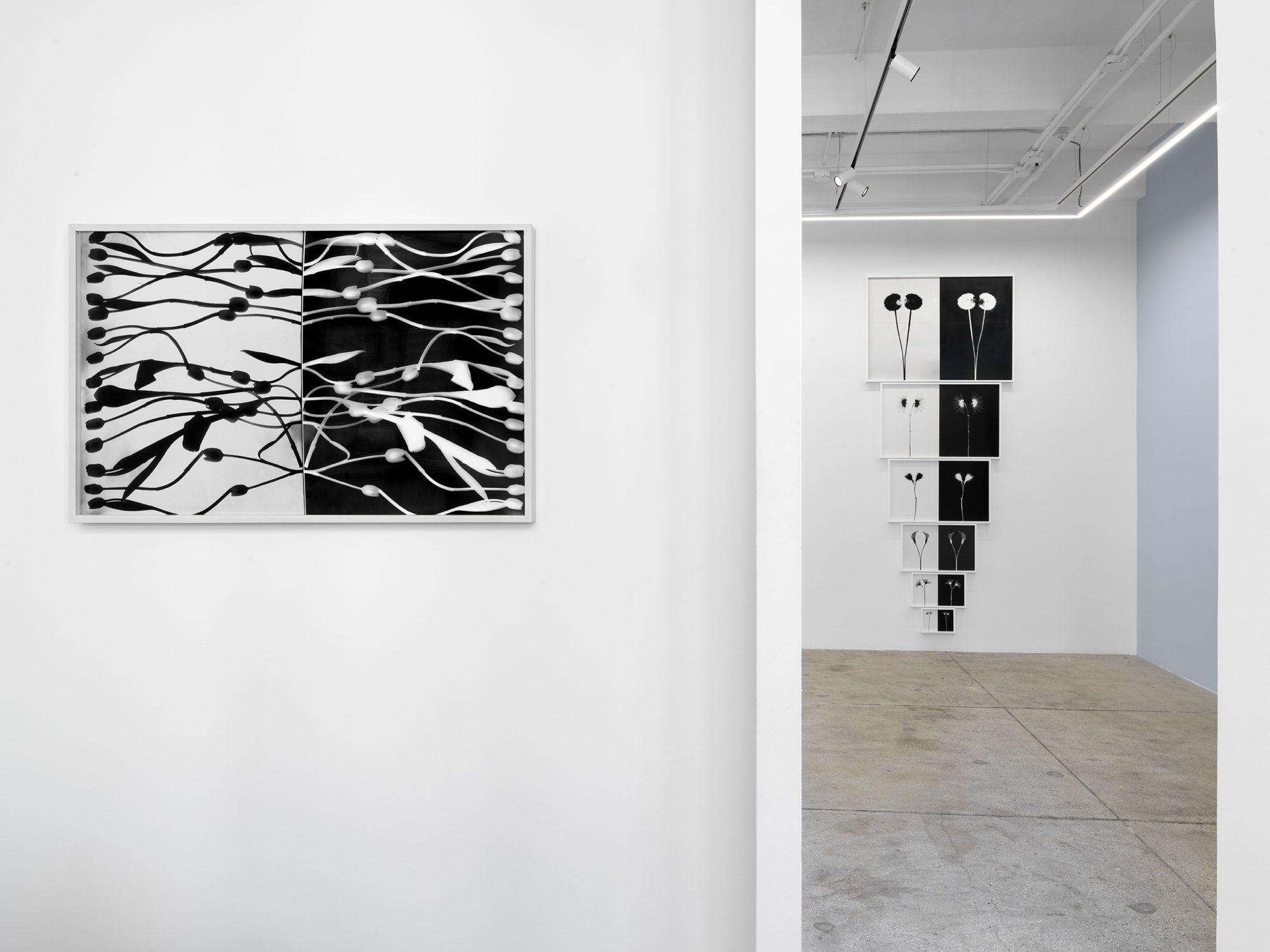 Kunié Sugiura: Something Else