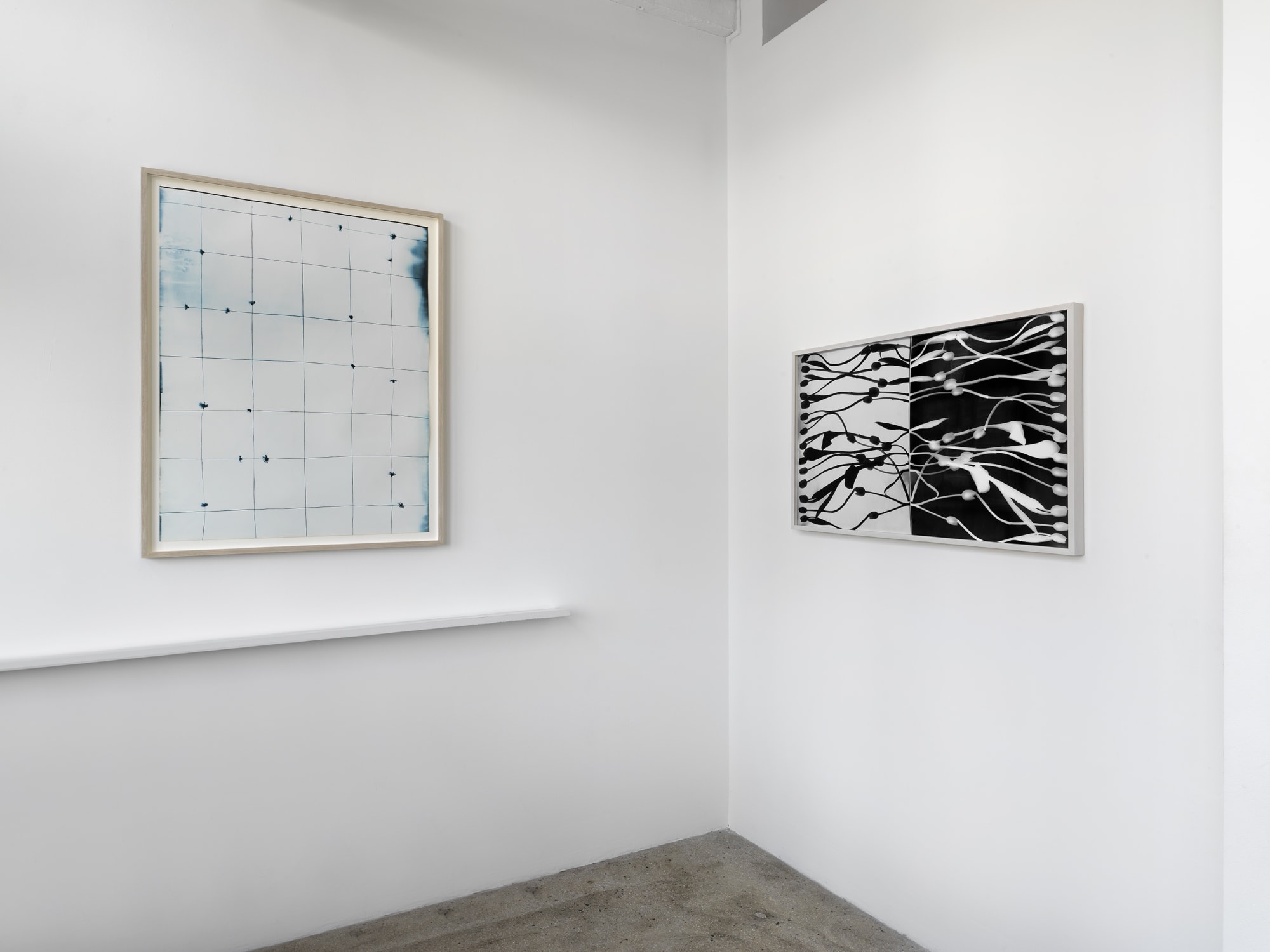 Kunié Sugiura: Something Else