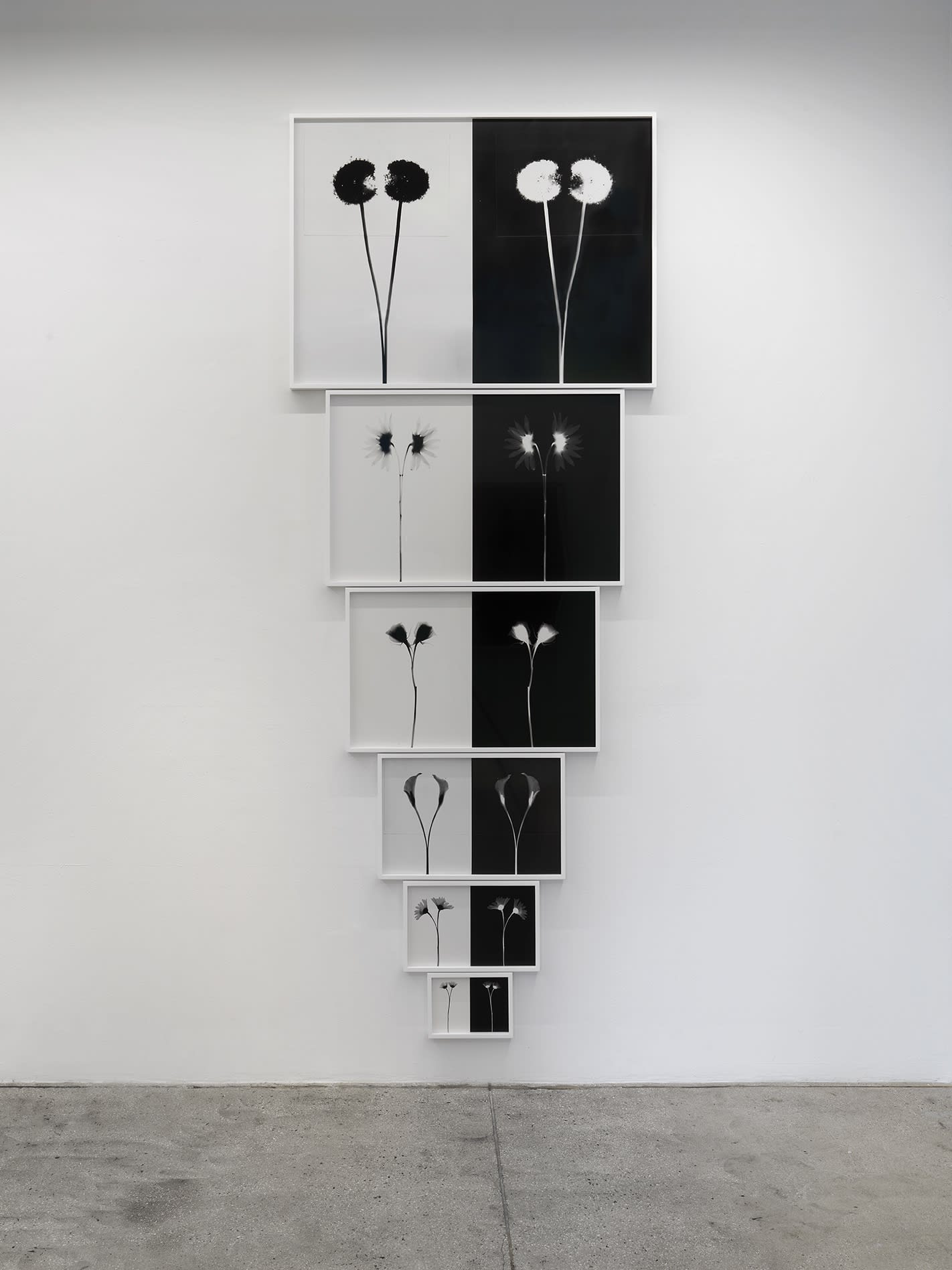 Kunié Sugiura: Something Else