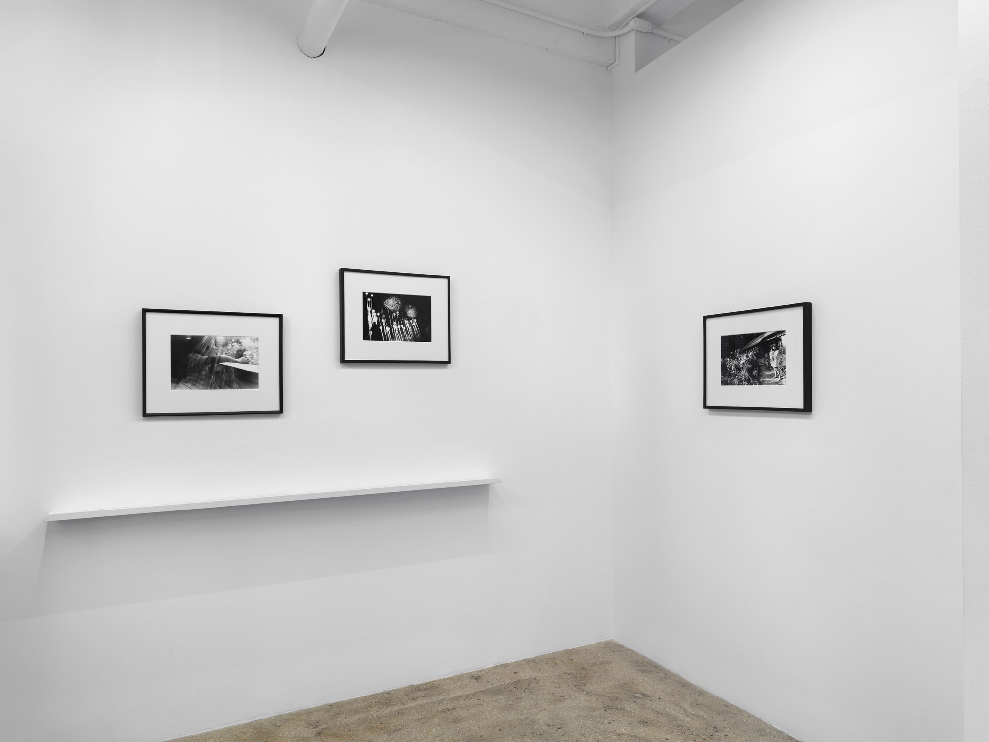 Tamiko Nishimura: Journeys