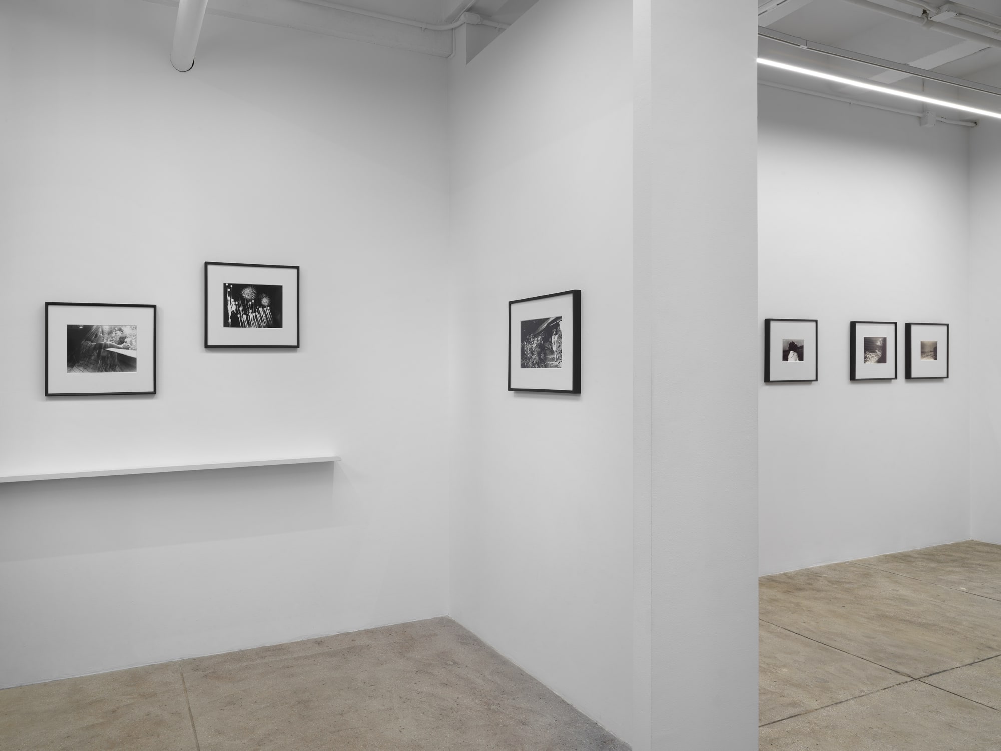 Tamiko Nishimura: Journeys