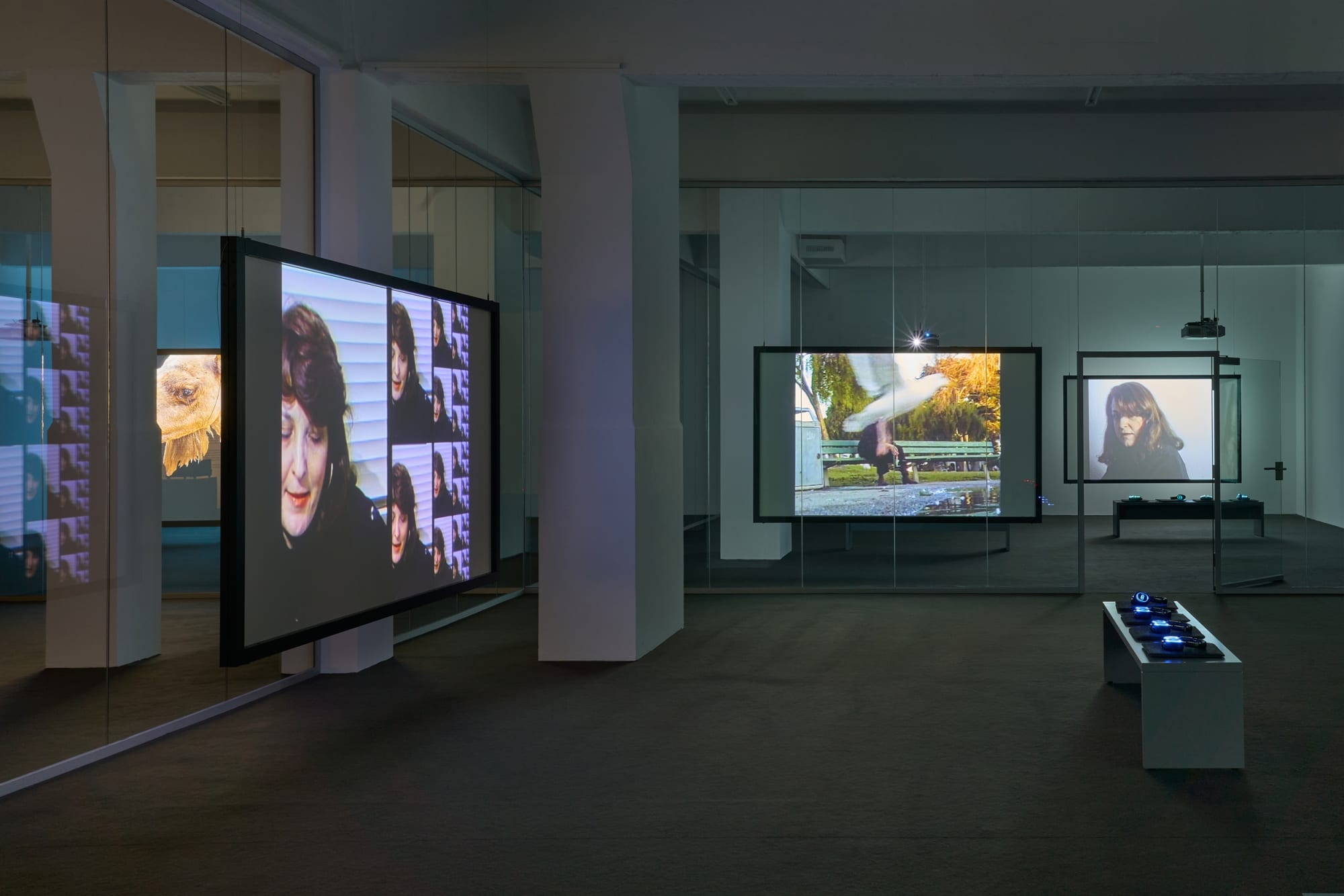 LYNN HERSHMAN LEESON: ARE OUR EYES TARGETS?, 2024-2025 Installation view Julia Stoschek Foundation, Düsseldorf, Germany Photography by Alwin Lay
