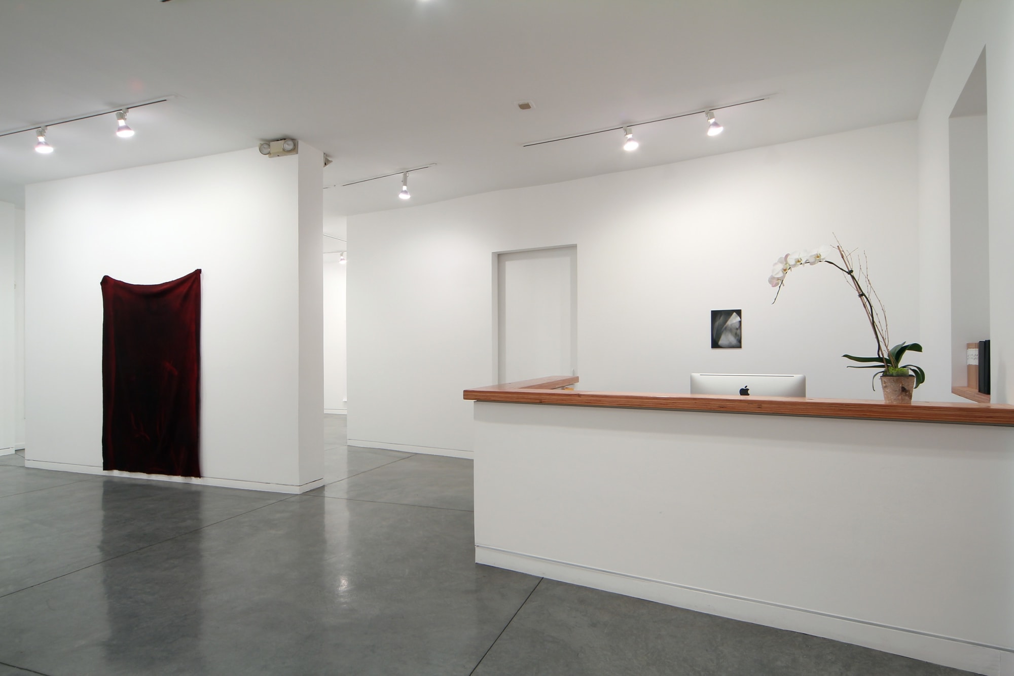 Jessica Dickinson, Liam Everett, Alex Olson, Josh Smith, and Garth Weiser, 2012 Installation view