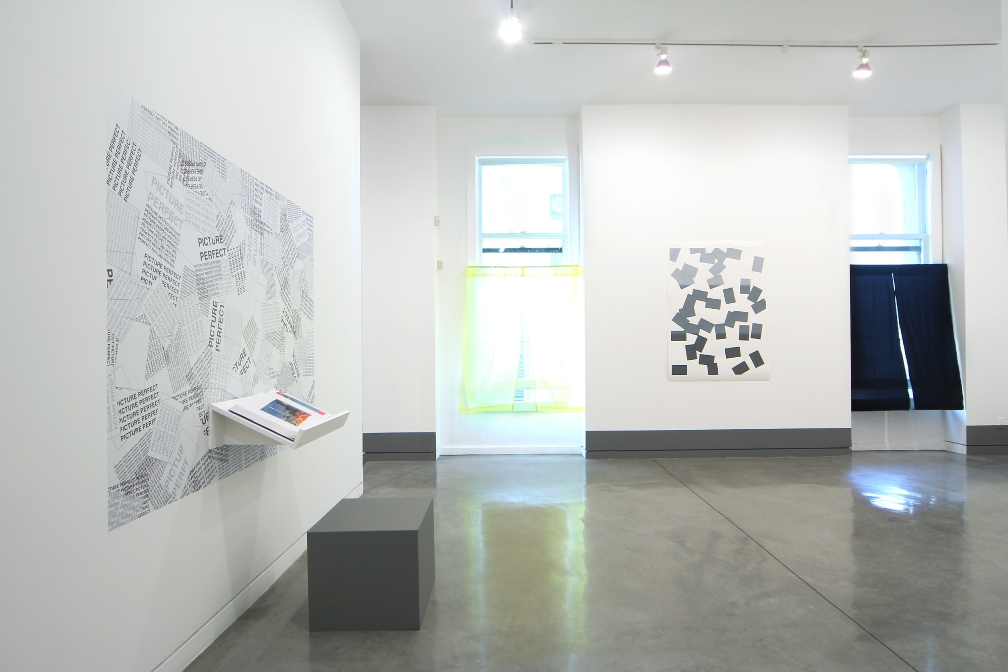 Matt Keegan Lengua, 2011 Installation view