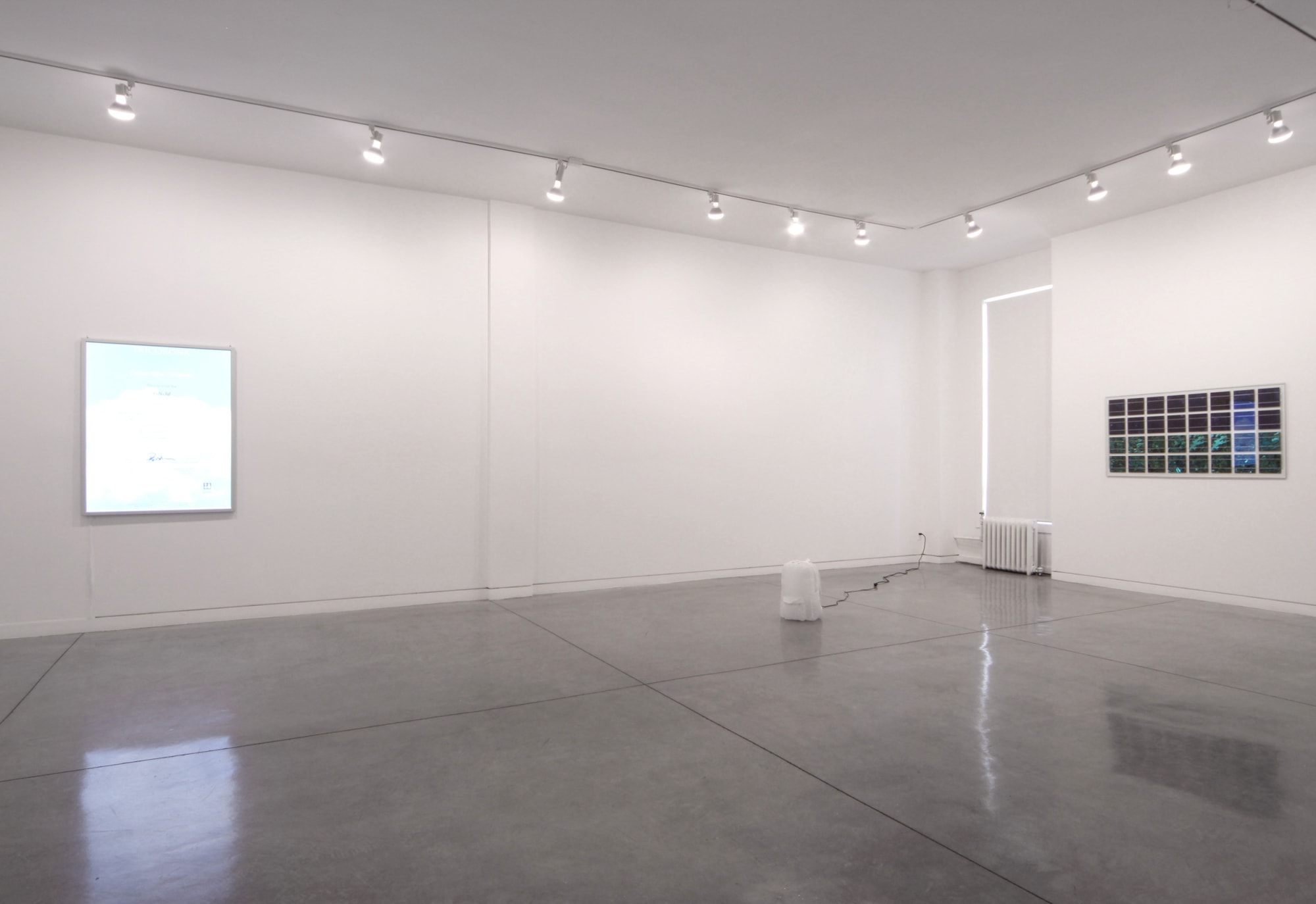 Zarouhie Abdalian, Keller/Kosmas (Aids 3-d), Matt Sheridan Smith, 2011 Installation view