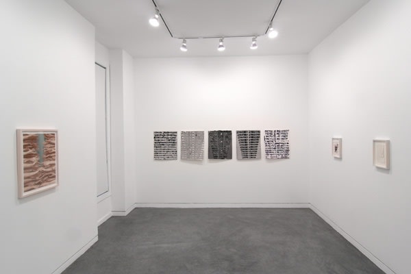 Chris Johanson, Charley Harper & Matt Keegan, 2011 Installation view