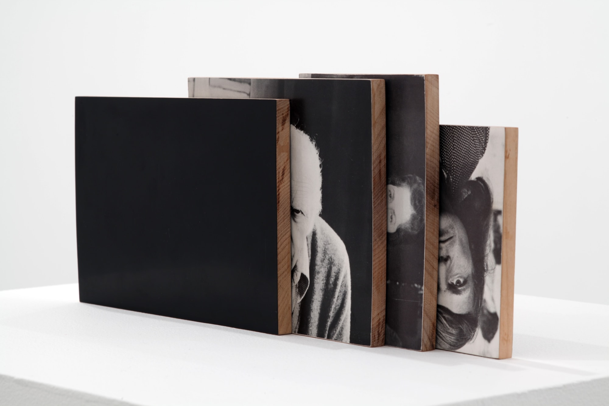 Will Rogan Mediums 4 (II), 2010 Paper, wood, beeswax Dimensions variable