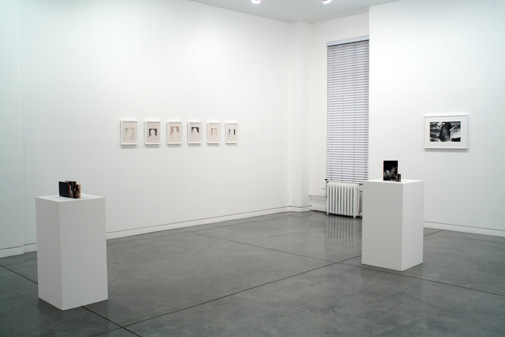 Will Rogan Stay Home, 2010 Installation view