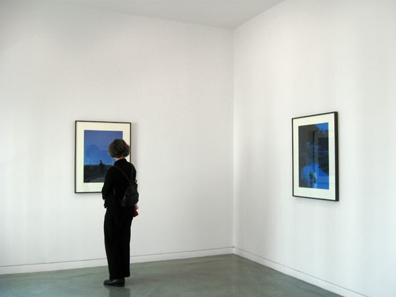 Devin Leonardi Shallow Bower, 2009 Installation view