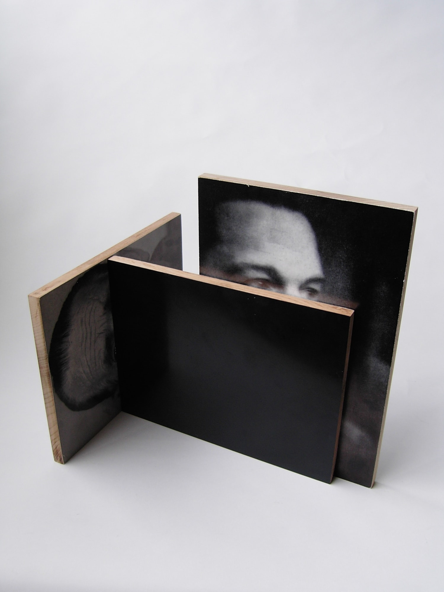 Will Rogan Mediums 3 (II), 2010 Paper, wood, beeswax Dimensions variable