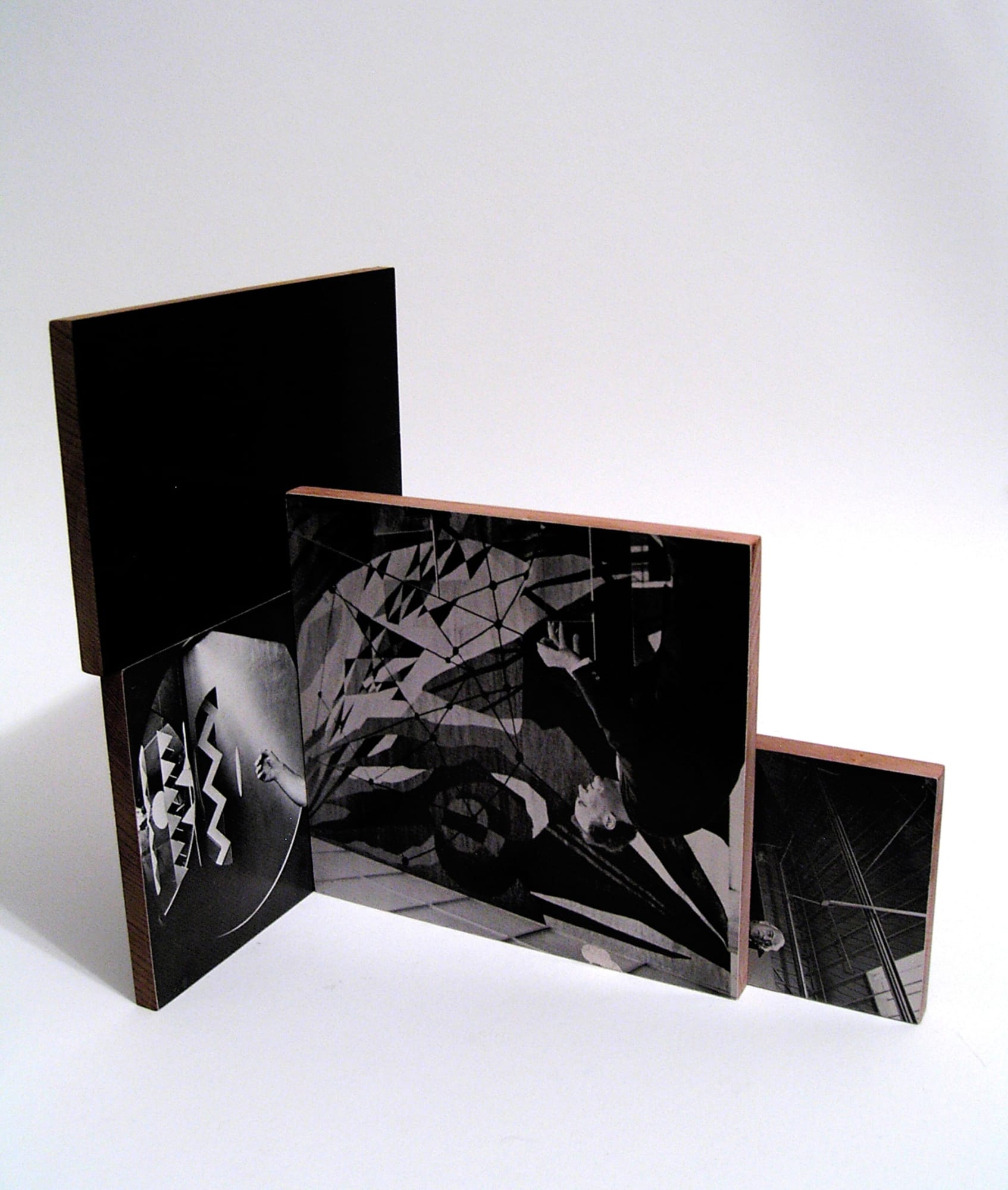 Will Rogan Mediums 4, 2010 Paper, wood, beeswax Dimensions variable