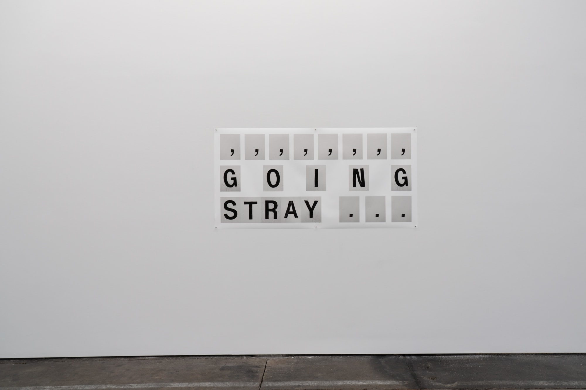 Shannon Ebner SUBJECT FIELD: PANEL 6, 2019 Archival Pigment Print on Tyvek 33 x 66 in 83.8 x 167 cm