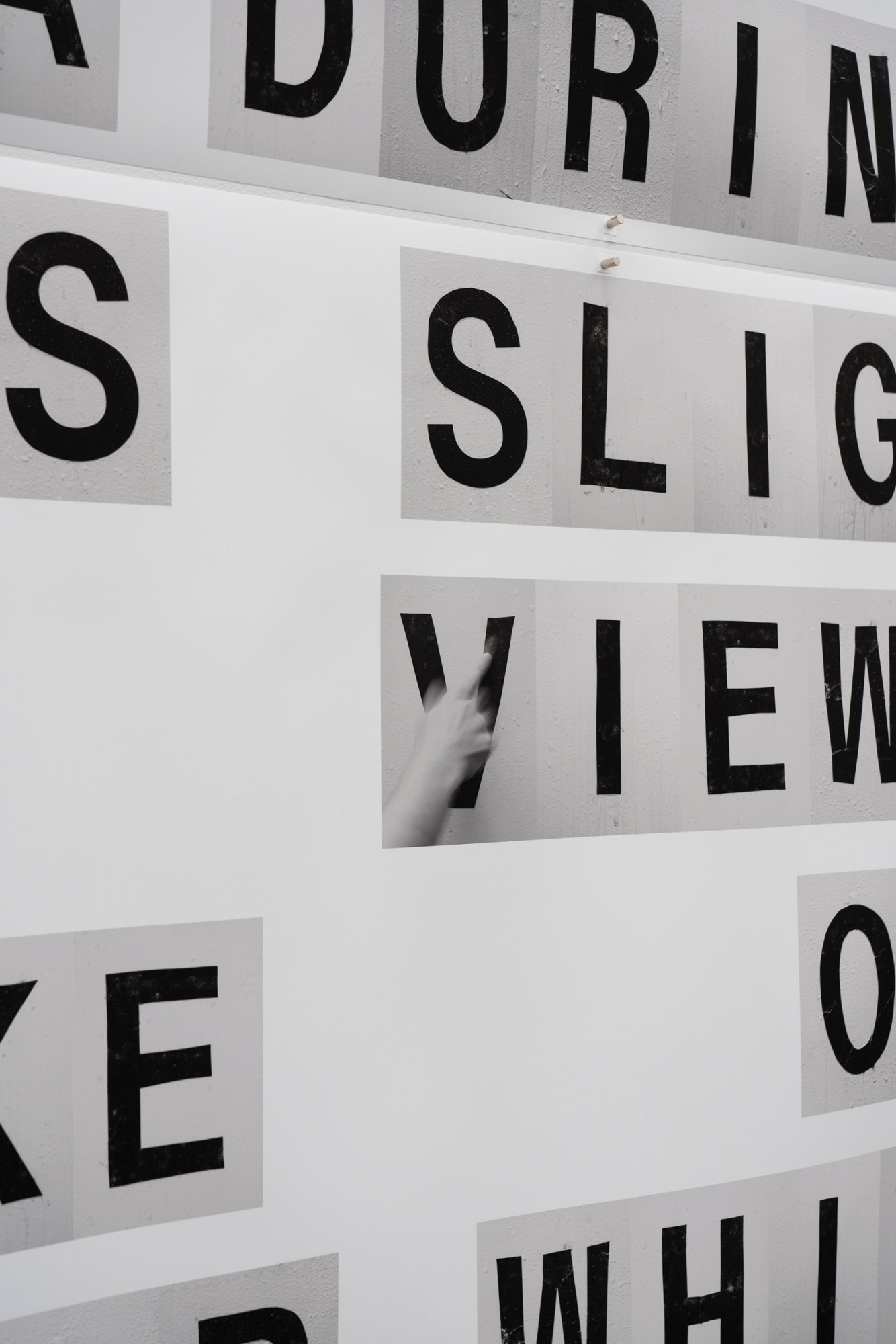 Shannon Ebner SECTION 3: MULTIPLE EXPOSURES (Detail), 2019 Archival Pigment Print on Tyvek 118 x 179 in 299.7 x 454.6 cm