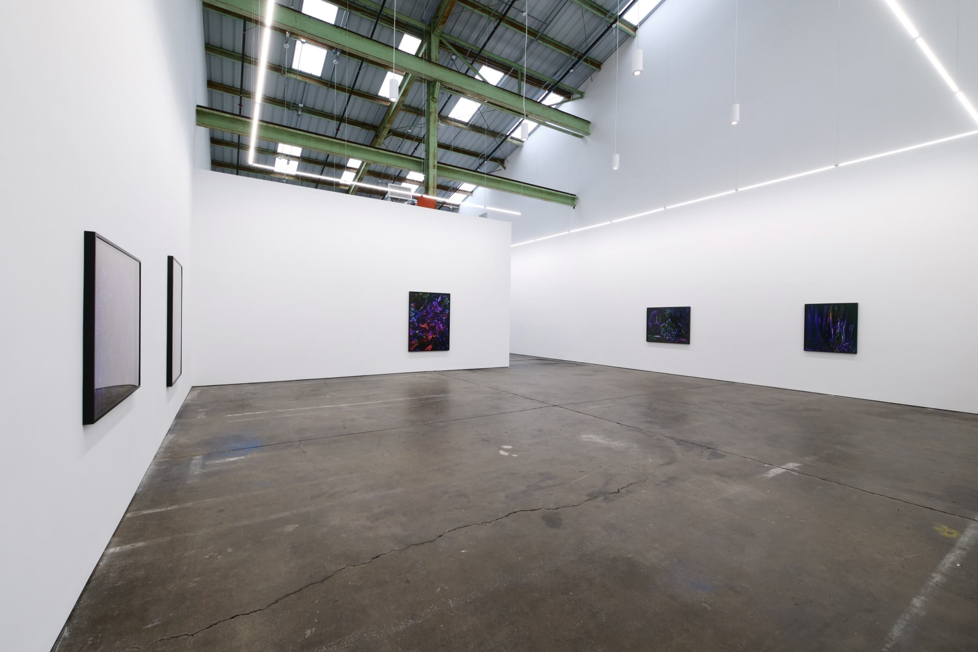 Richard Mosse Ultra, 2019 Installation view