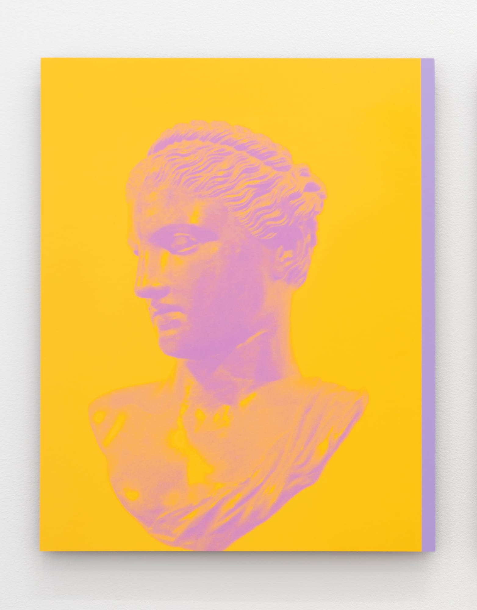Sara VanDerBeek Roman Woman XIX, 2019 Dye sublimation print on aluminum mounted on plexiglas 20 x 15 3/4 in 50.8 x 40 cm
