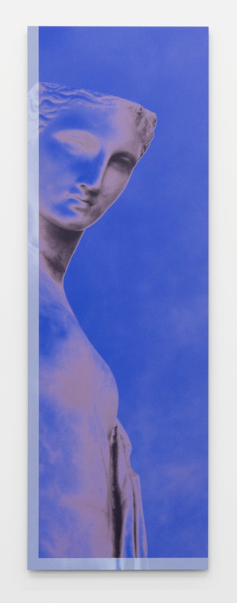 Sara VanDerBeek Roman Woman XVI, 2019 Dye sublimation print on aluminum mounted on plexiglas 72 x 24 in 182.9 x 61 cm