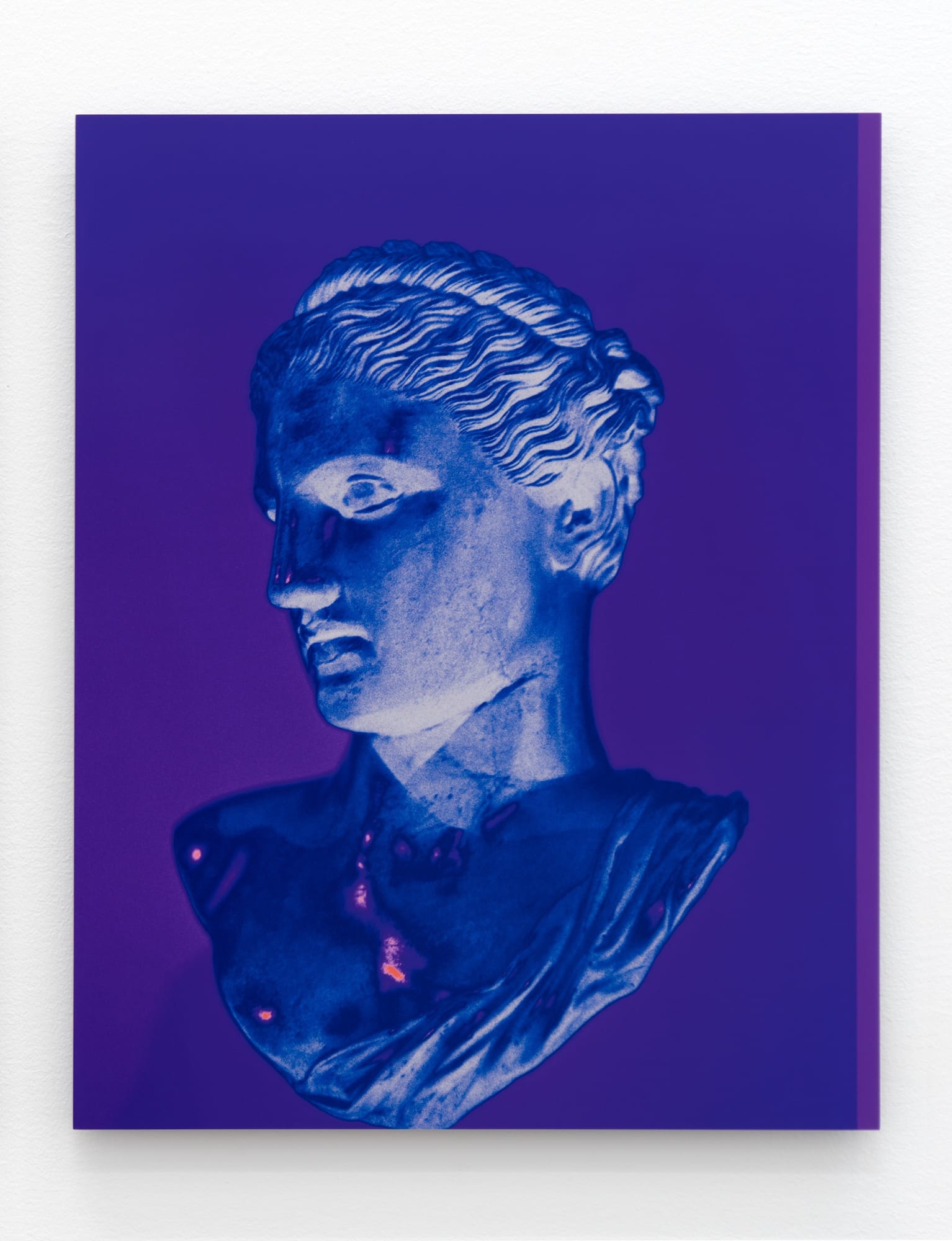 Sara VanDerBeek Roman Woman XXII, 2019 Dye sublimation print on aluminum mounted on plexiglas 20 x 15 3/4 in 50.8 x 40 cm