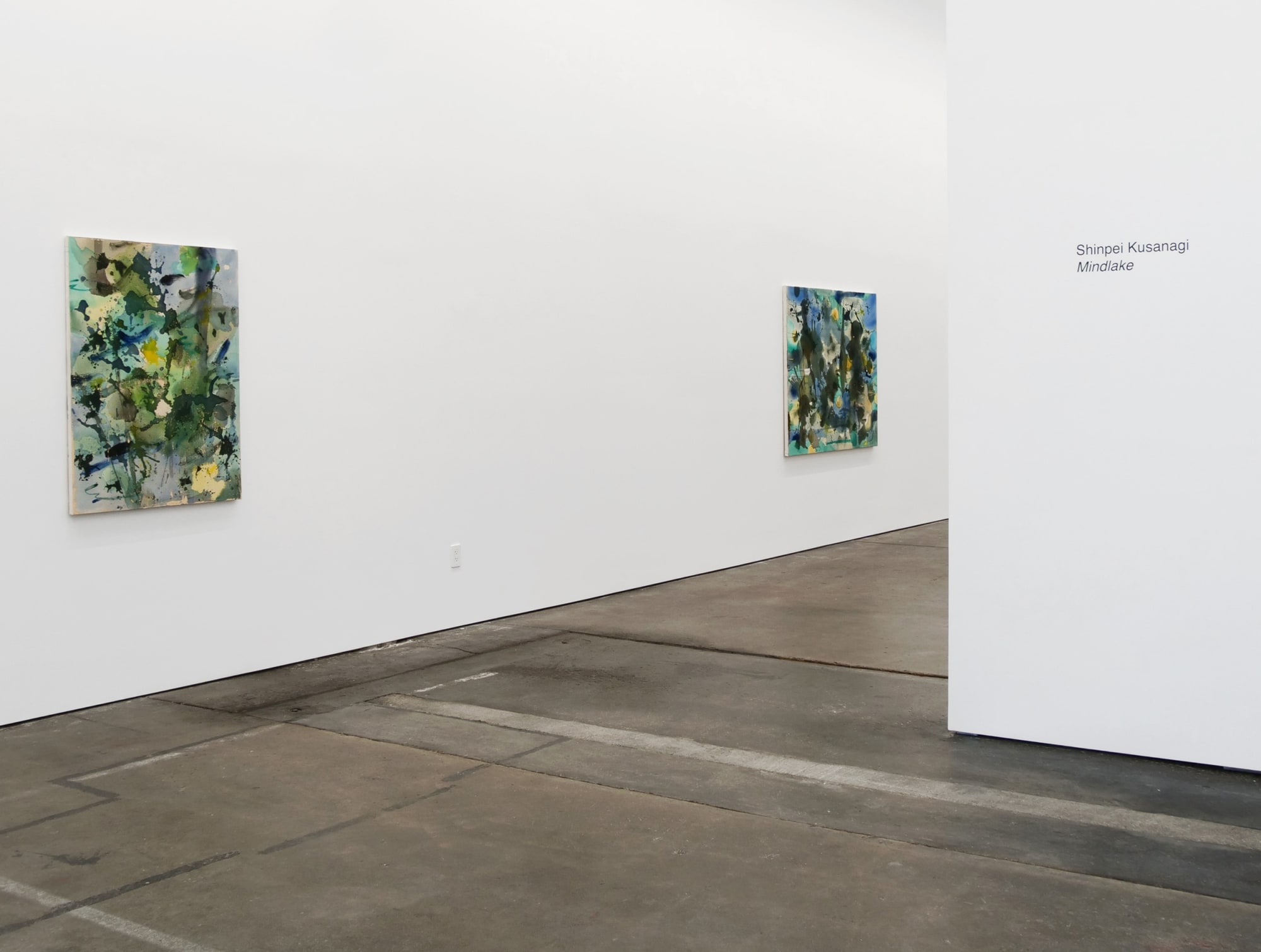 Shinpei Kusanagi Mindlake, 2018 Installation view