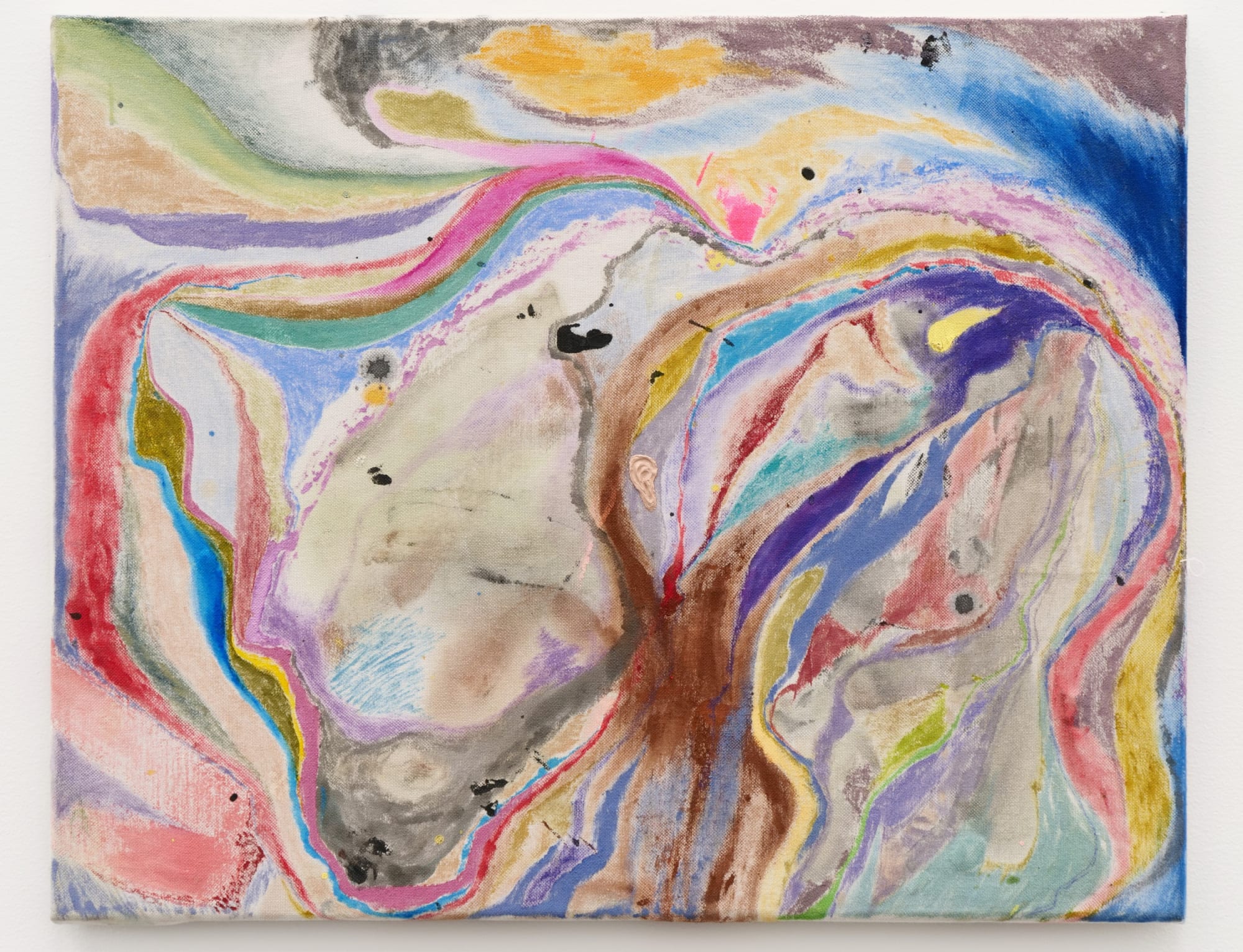 Chris Johanson Homeostasis Painting No. 1, 2018 Acrylic and house paint on canvas 16 x 20 in 40.6 x 50.8 cm