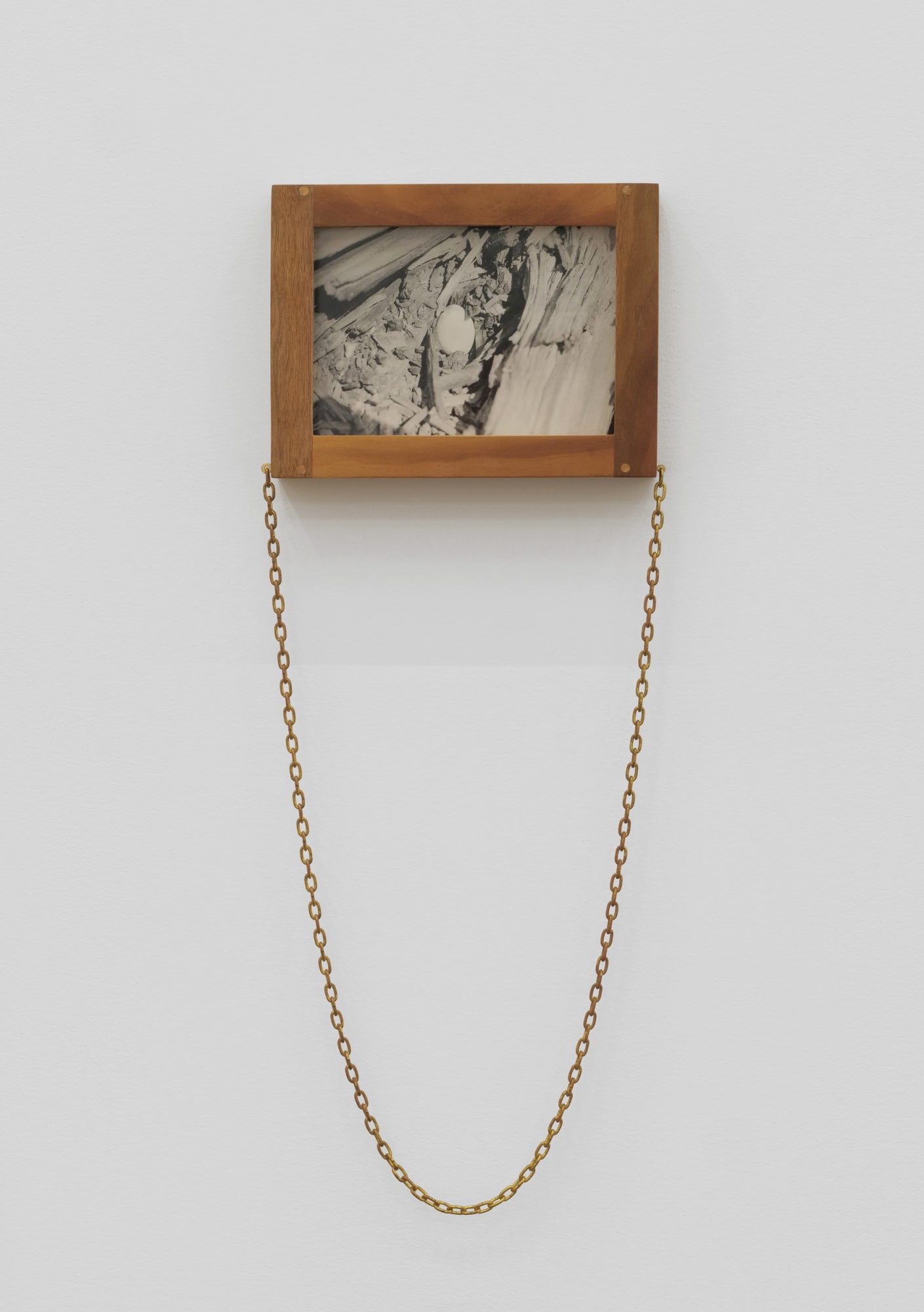 Will Rogan Eclipse Egg, 2018 Silver gelatin print, wood, clock chain 22 x 8 1/2 x 1 1/2 in 55.9 x 21.6 x 3.8 cm