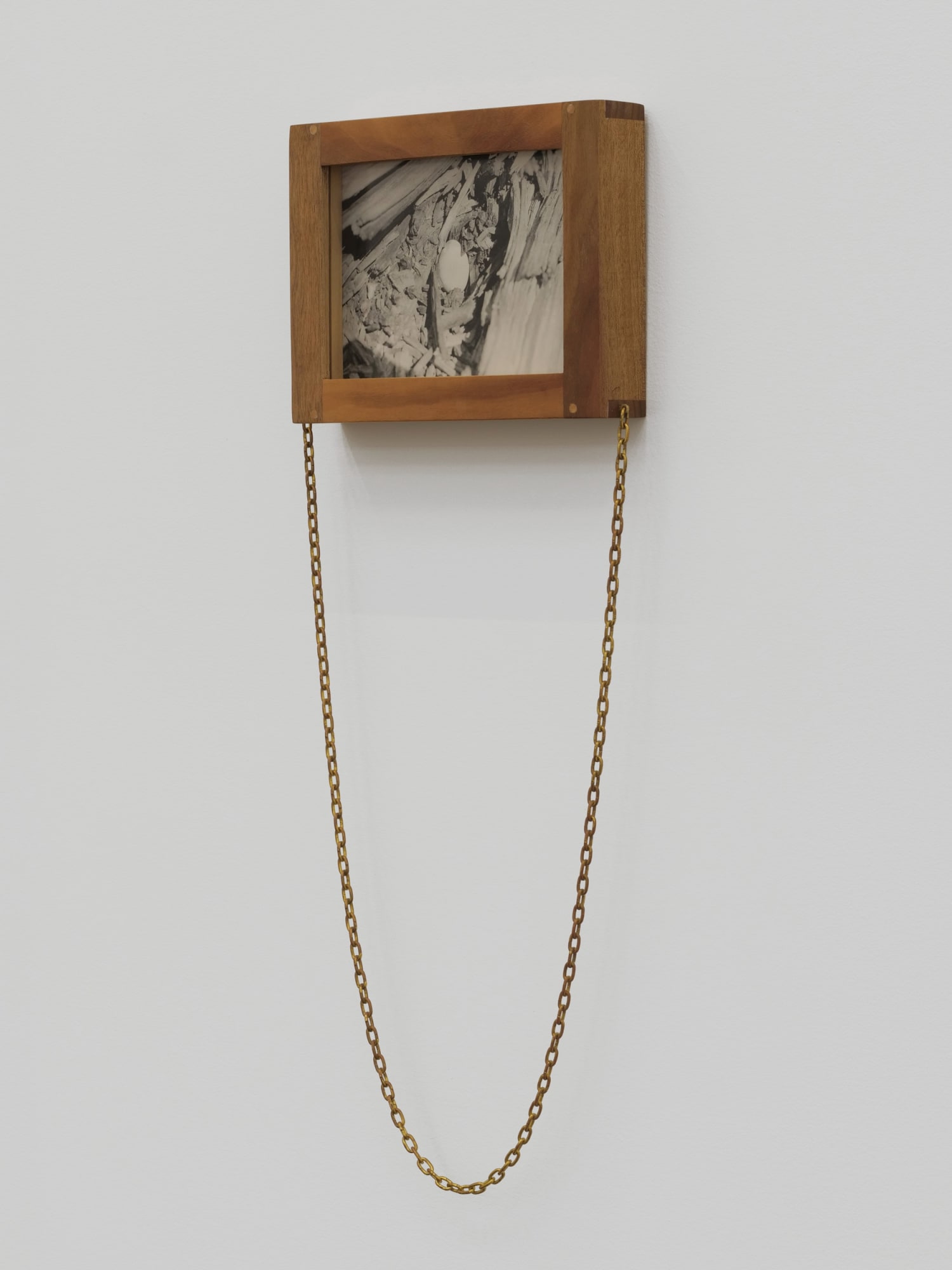 Will Rogan Eclipse Egg, 2018 Silver gelatin print, wood, clock chain 22 x 8 1/2 x 1 1/2 in 55.9 x 21.6 x 3.8 cm