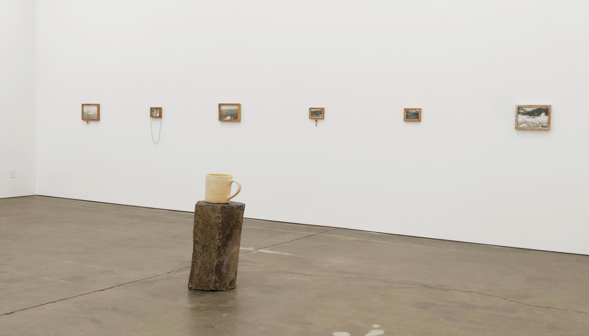 Will Rogan, Albatross, 2018 Installation view