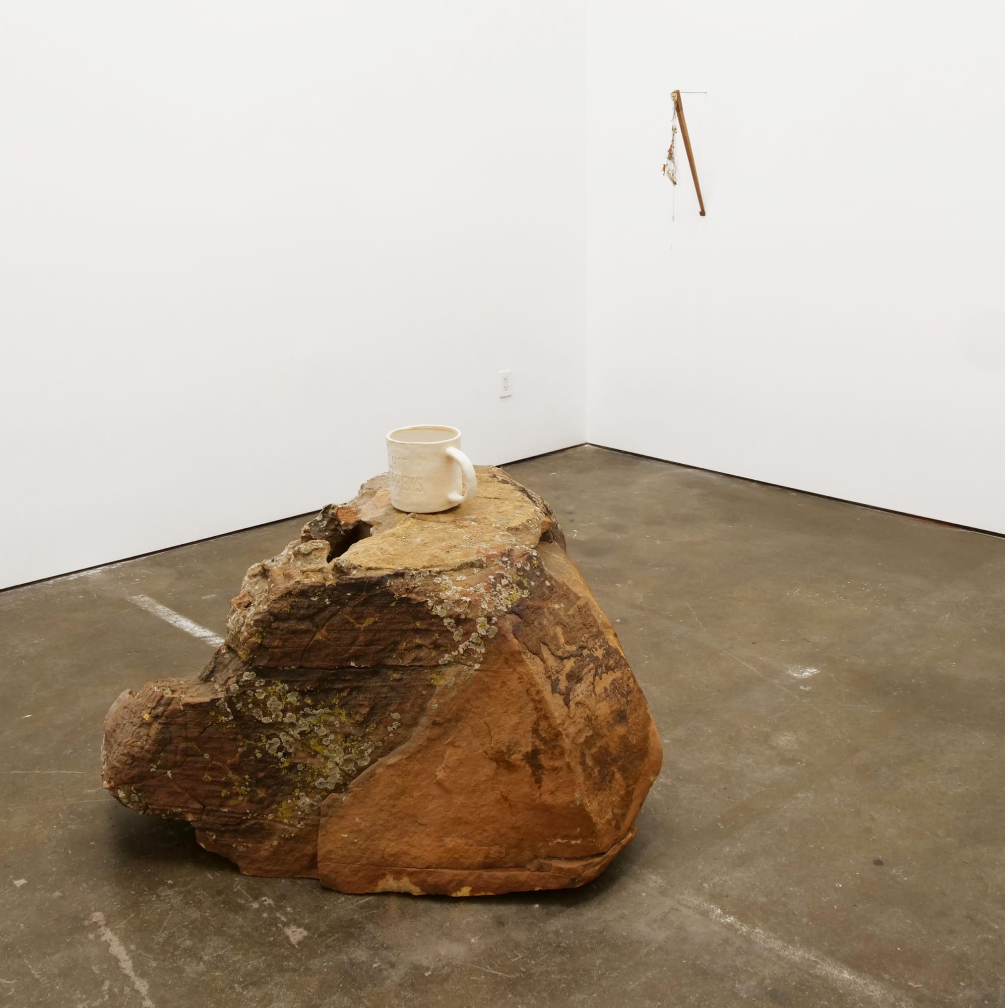 Will Rogan, Albatross, 2018 Installation view