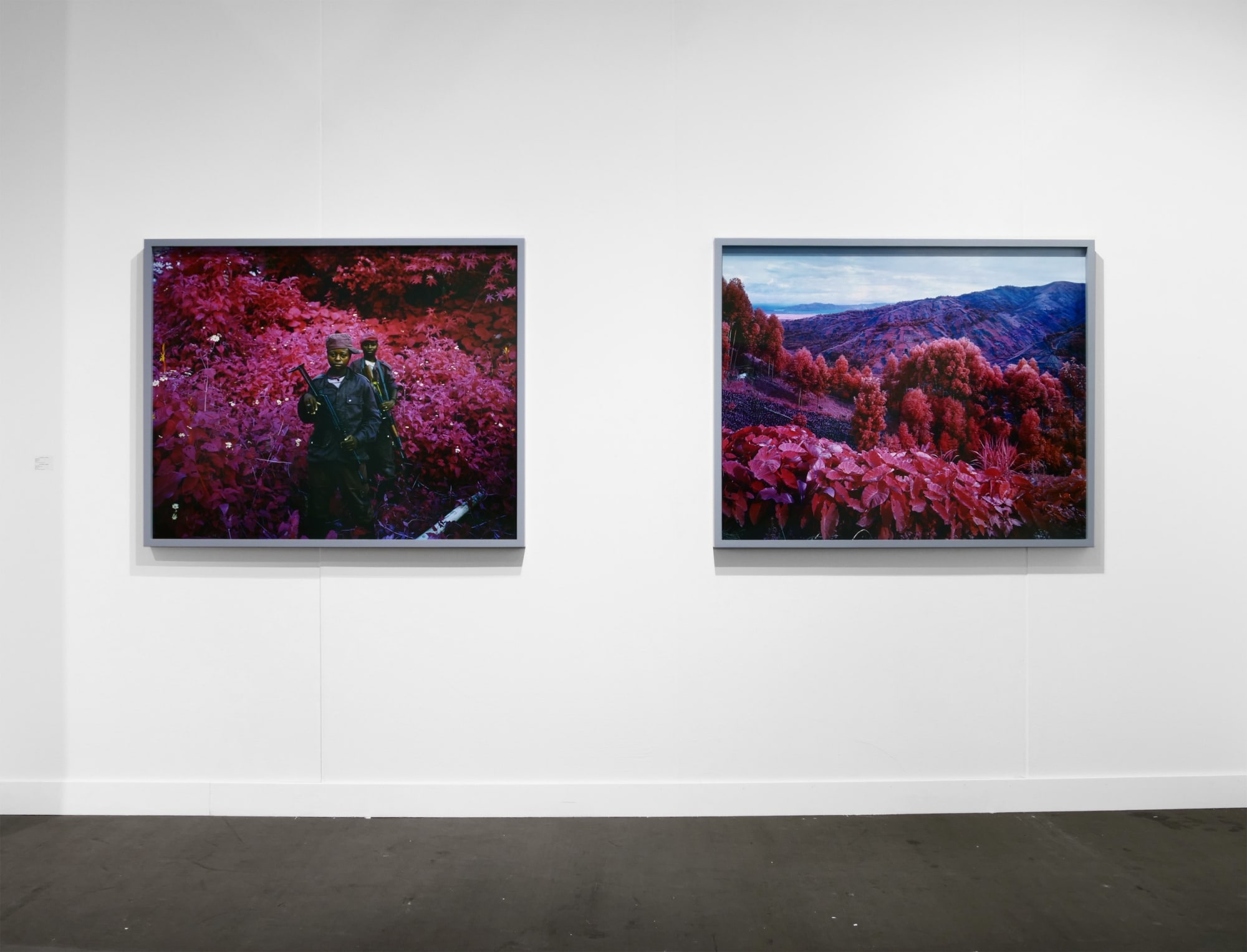 Richard Mosse FOG Design+Art 2019 Installation view