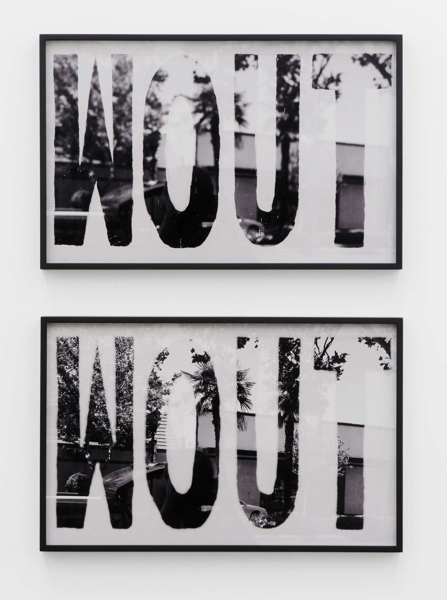 Shannon Ebner BLO - WOUT - WOUT, 2016 C-print 31 x 20 in 78.7 x 50.8 cm