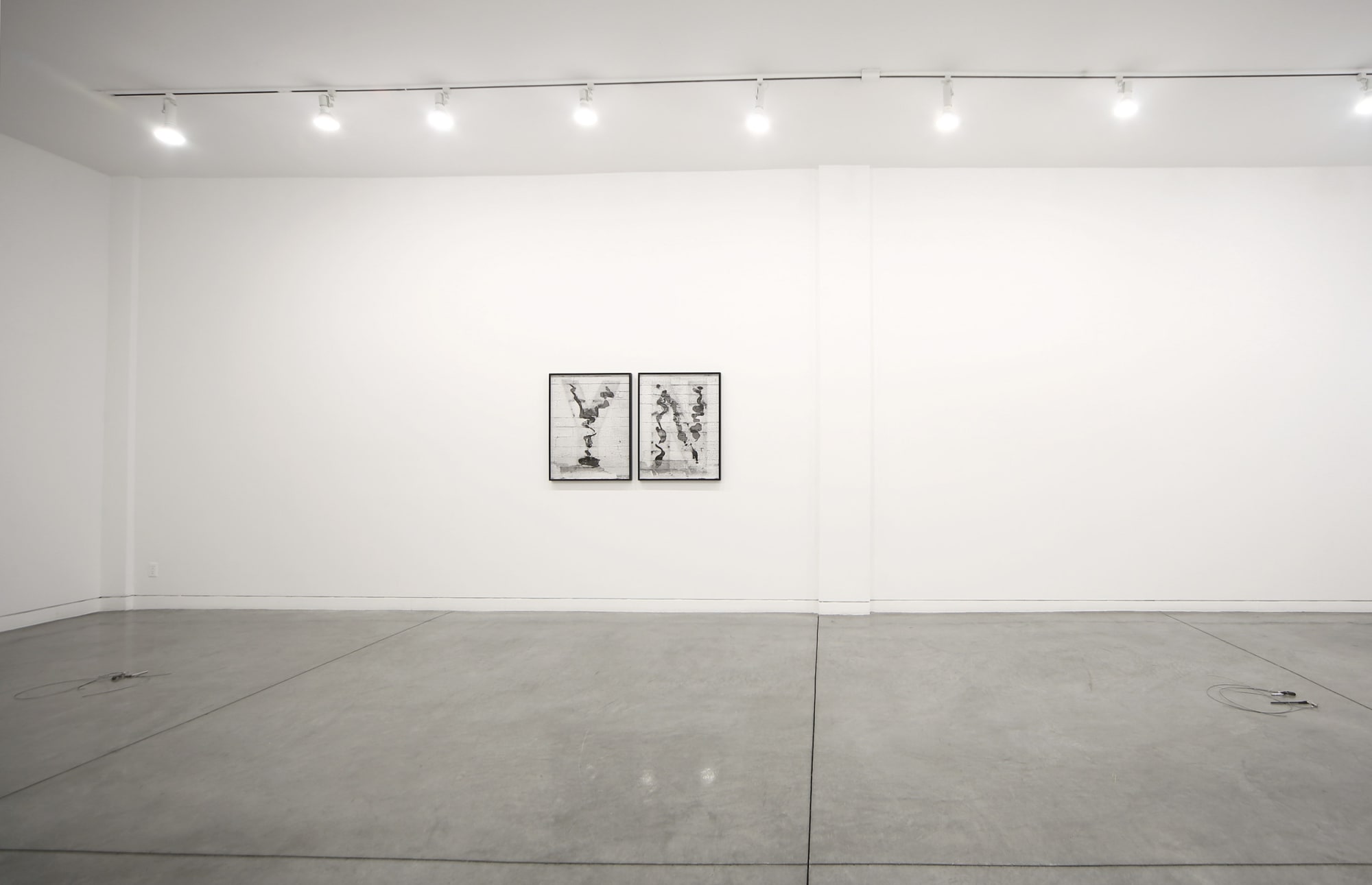 Of Echo Systems, 2016 Installation view