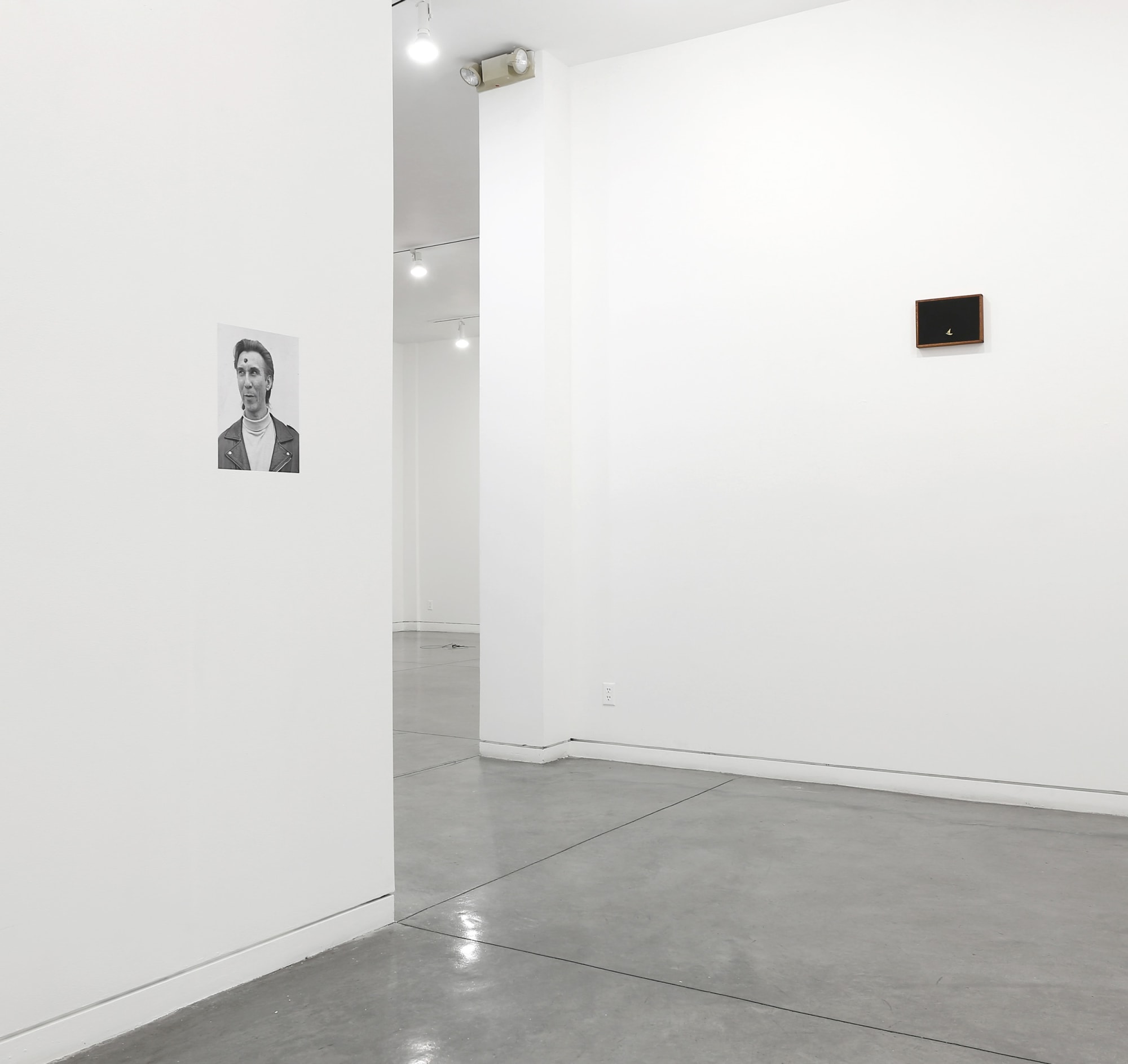 Of Echo Systems, 2016 Installation view