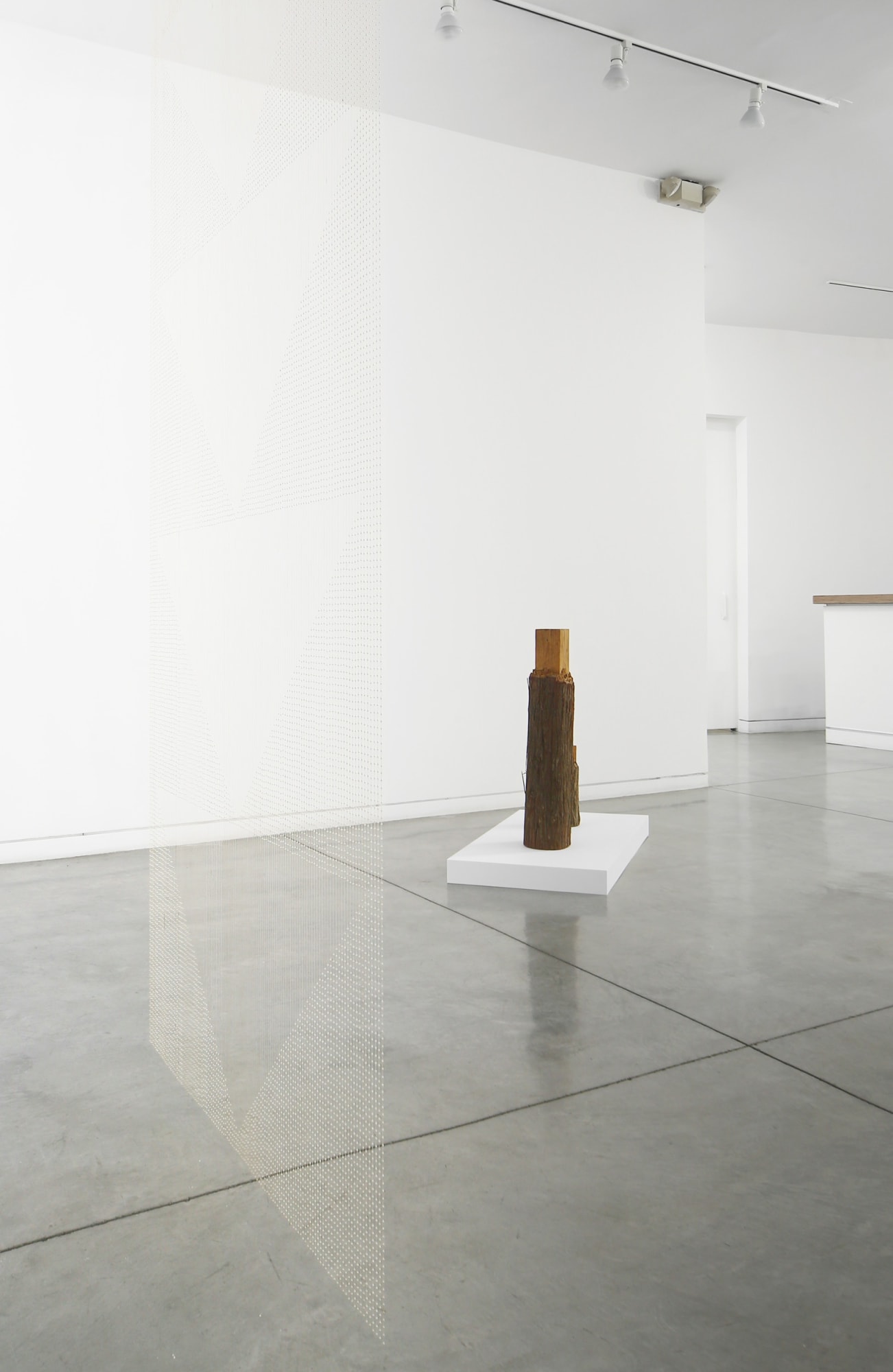 Standing and Hanging, 2015 Installation view