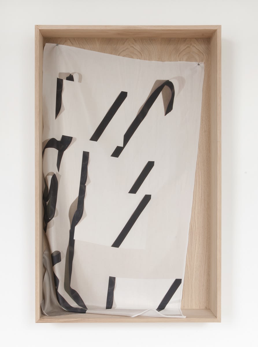 Emily Wardill You are the lucky ones, 2011 Inkjet print on silk sheet 43 1/4 x 22 in 110 x 56 cm