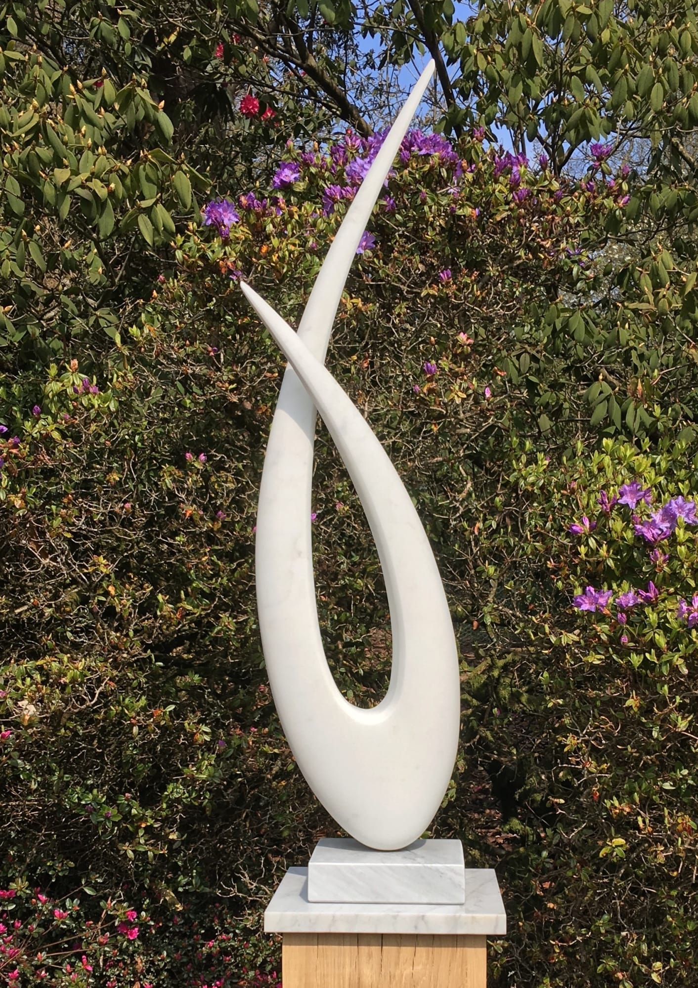 Stephanie Cushing, Ansa