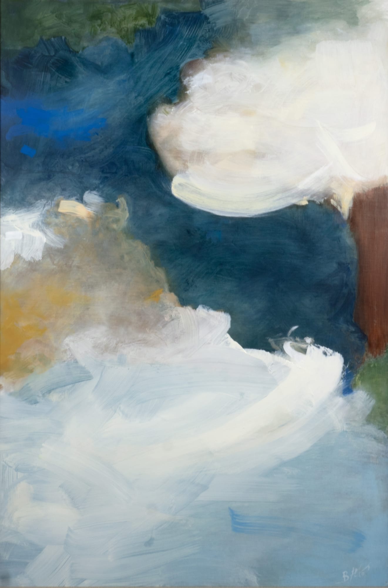 Bob Aldous , The Cove