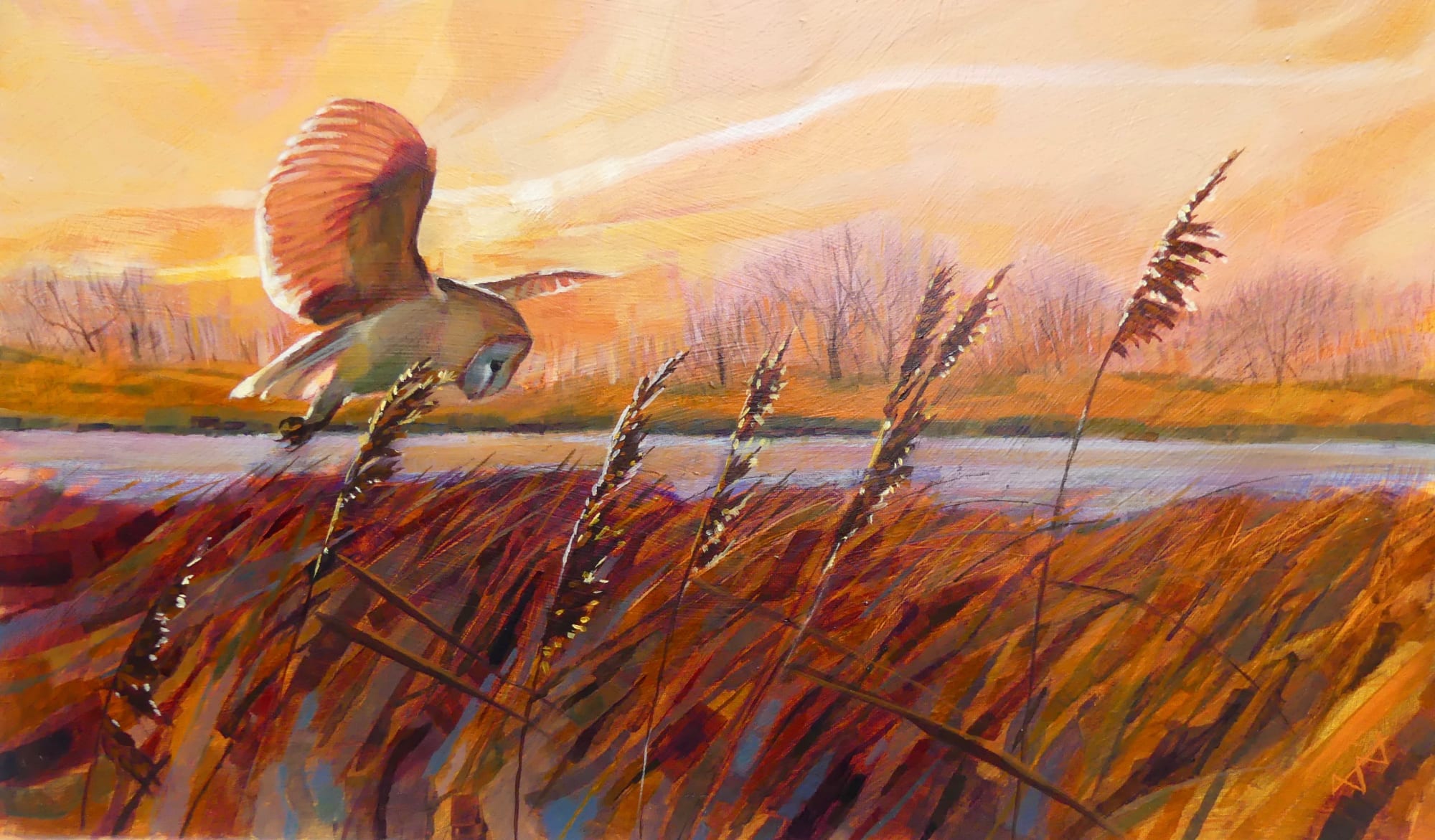 Brin Edwards, Hunting Barn Owl at Sunset