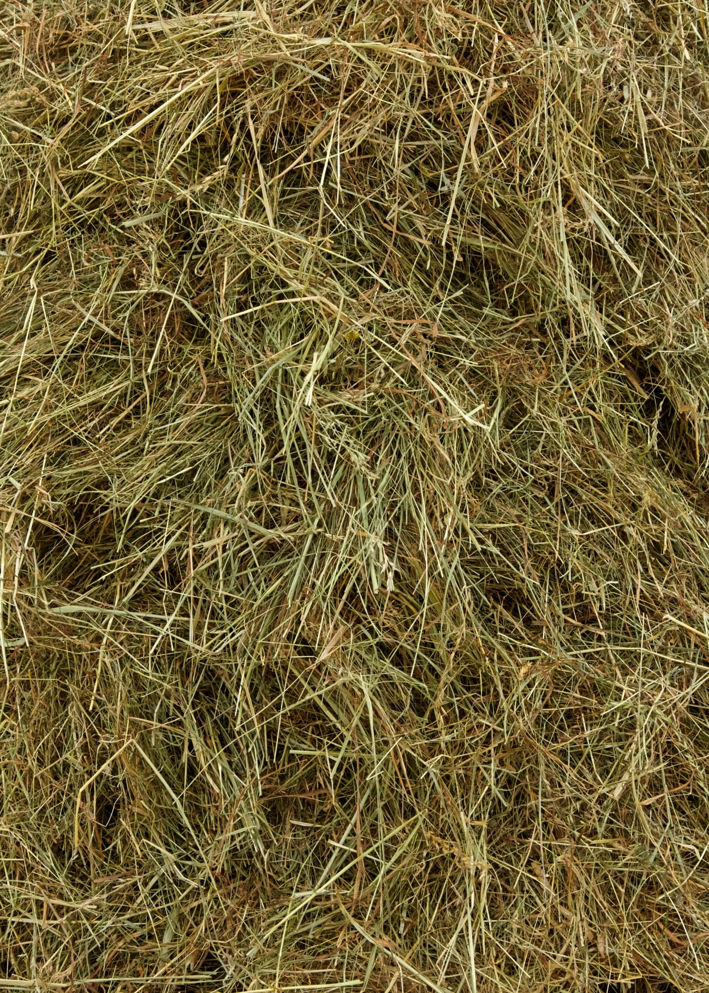 Dorota Gawęda and Eglė Kulbokaitė