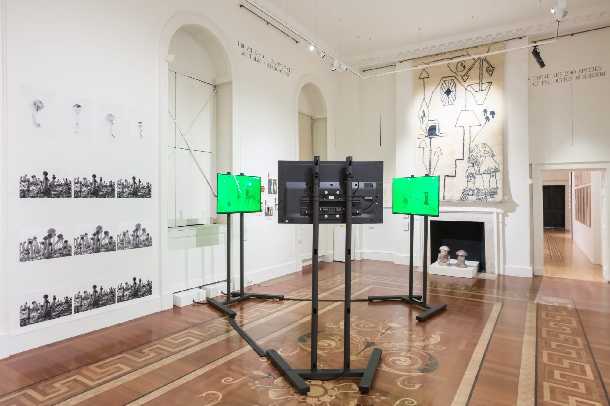 Annie Ratti, N.M. (1-4) and The Subtle Life of Magic Mushrooms (1-3) as part of the exhibition Mushrooms: The Art, Design and Future of Fungi at Somerset House &copy; Mark Blower