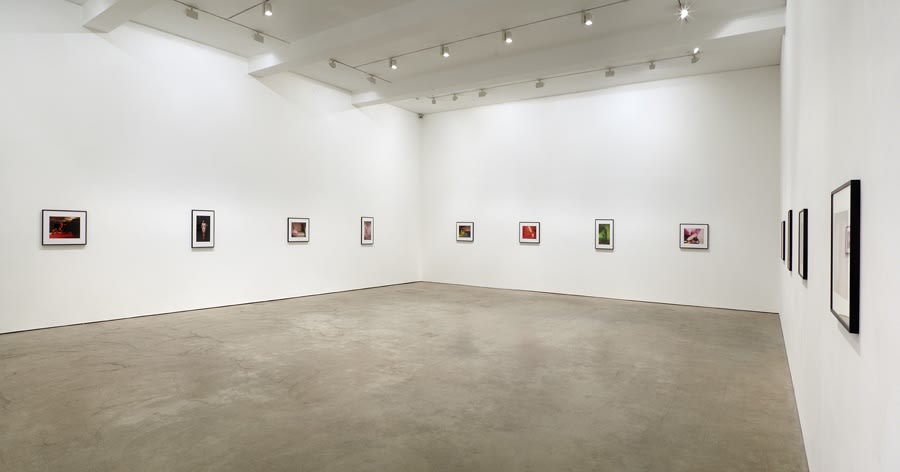 Suburban Color Sex Pictures