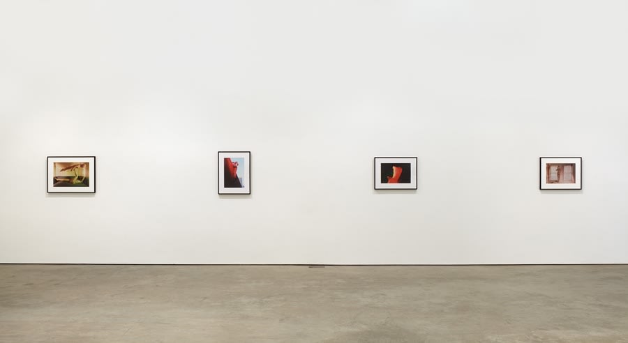 Suburban Color Sex Pictures