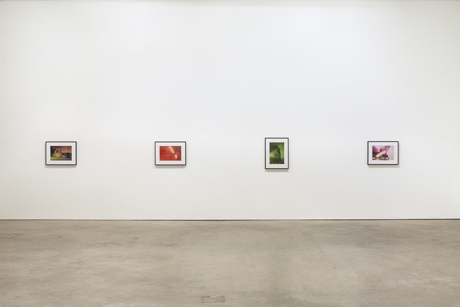 Suburban Color Sex Pictures