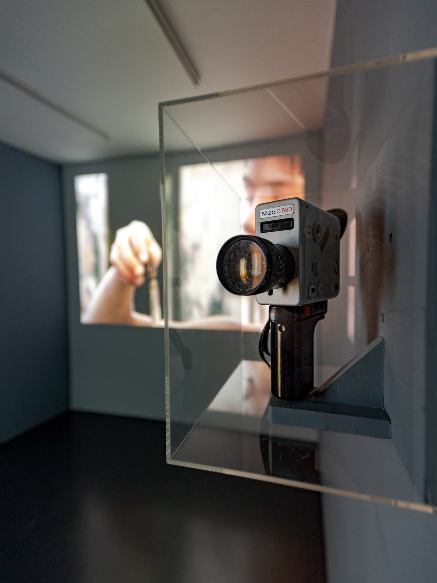 My garden’s boundaries are the horizon